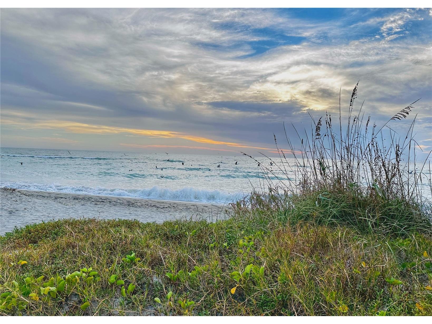 276 Island Circle Sarasota FL 34242 - GRAND CANAL A4667090 image52