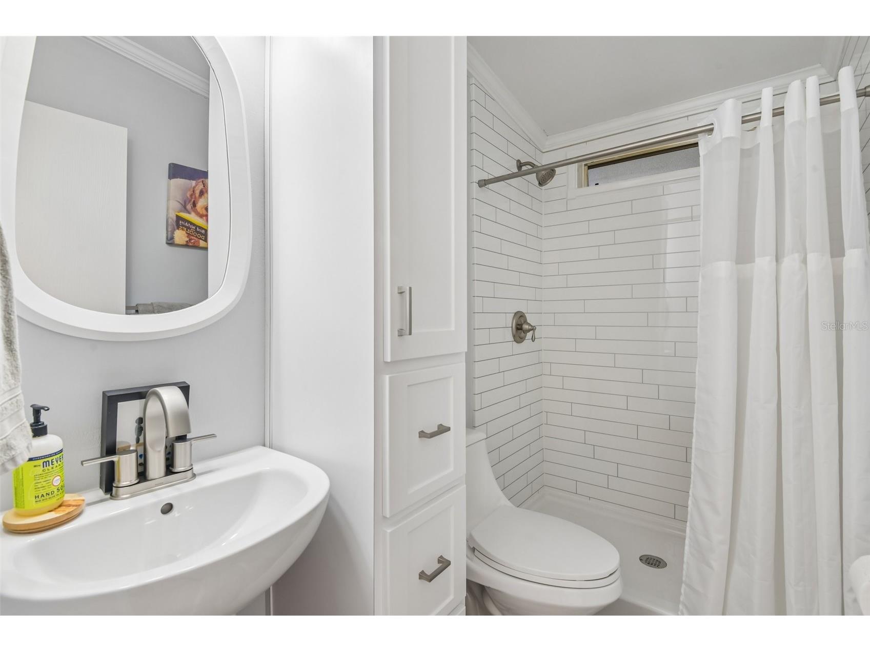 276 Pelican Drive N Oldsmar FL 34677 TB8510692 image17