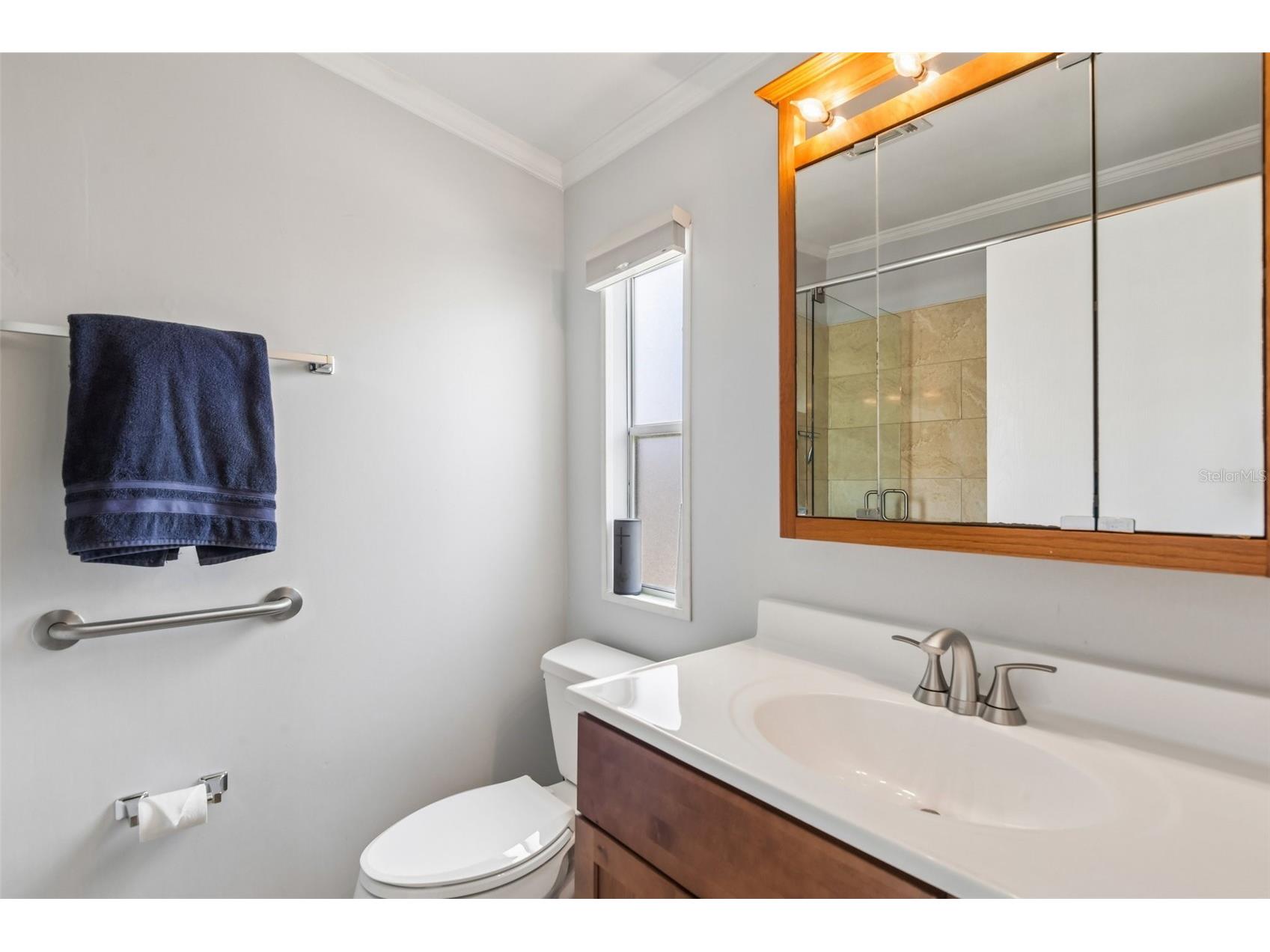 276 Pelican Drive N Oldsmar FL 34677 TB8510692 image20