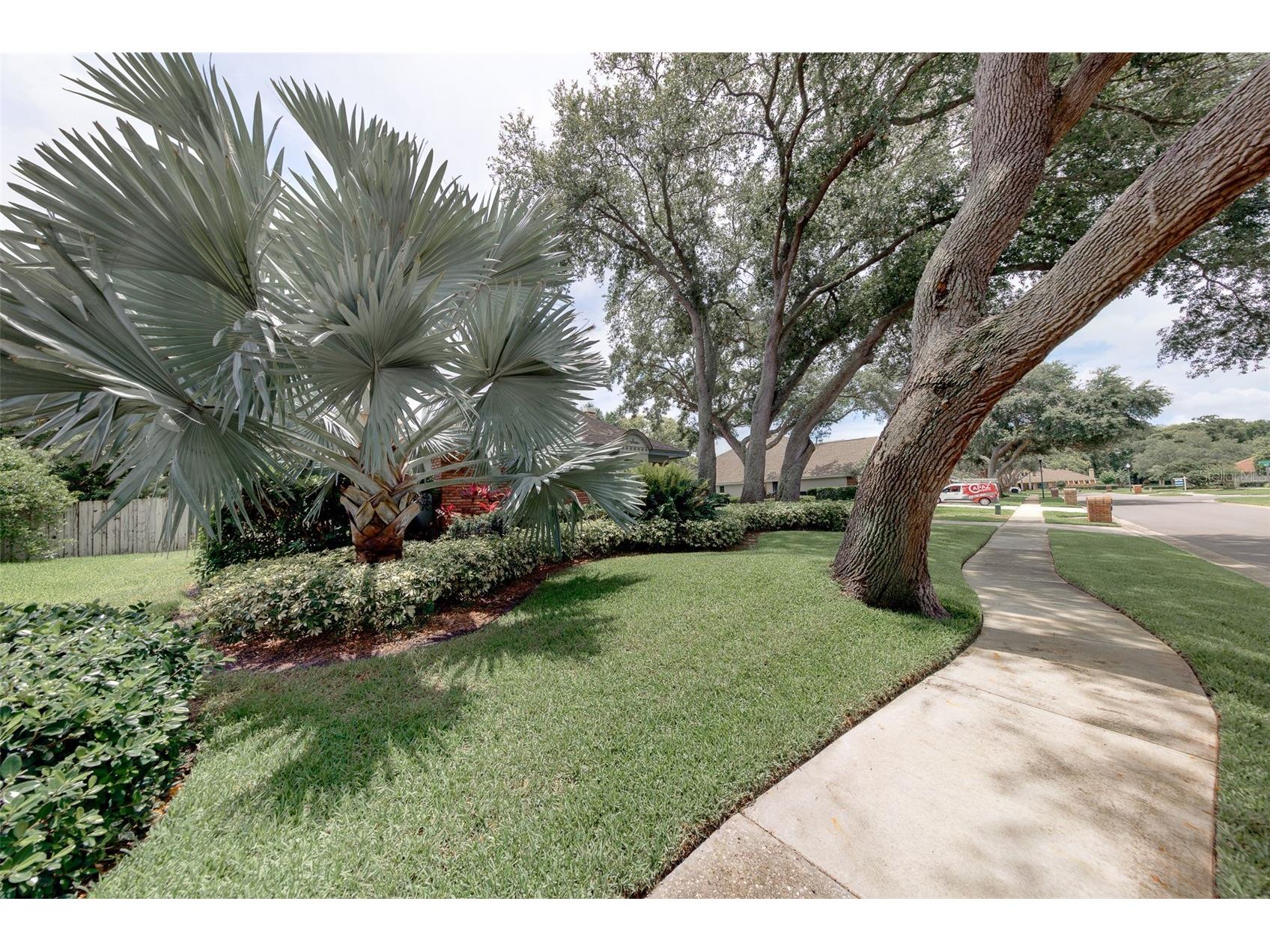 276 Sheffield Circle W Palm Harbor FL 34683 TB8514200 image61