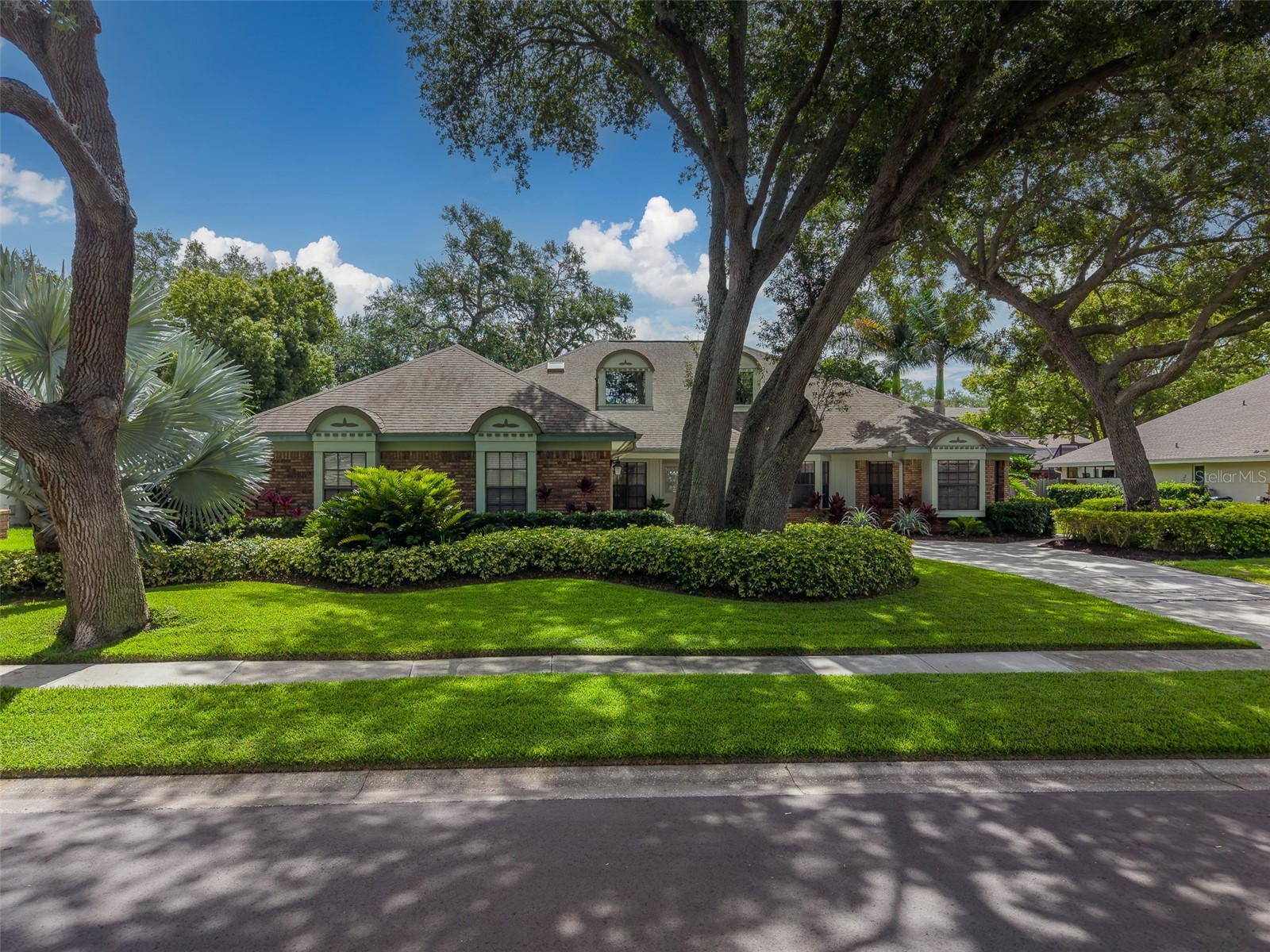 276 Sheffield Circle W Palm Harbor FL 34683 TB8514200 image68