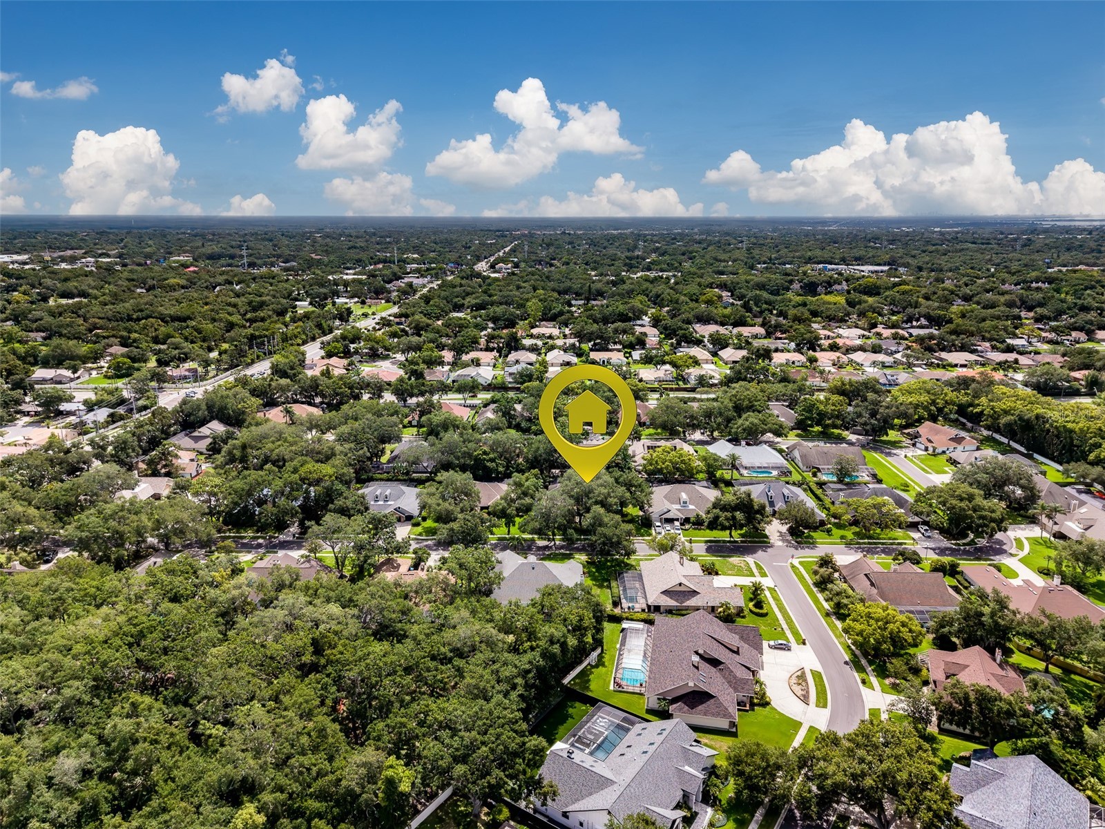 276 Sheffield Circle W Palm Harbor FL 34683 TB8514200 image70