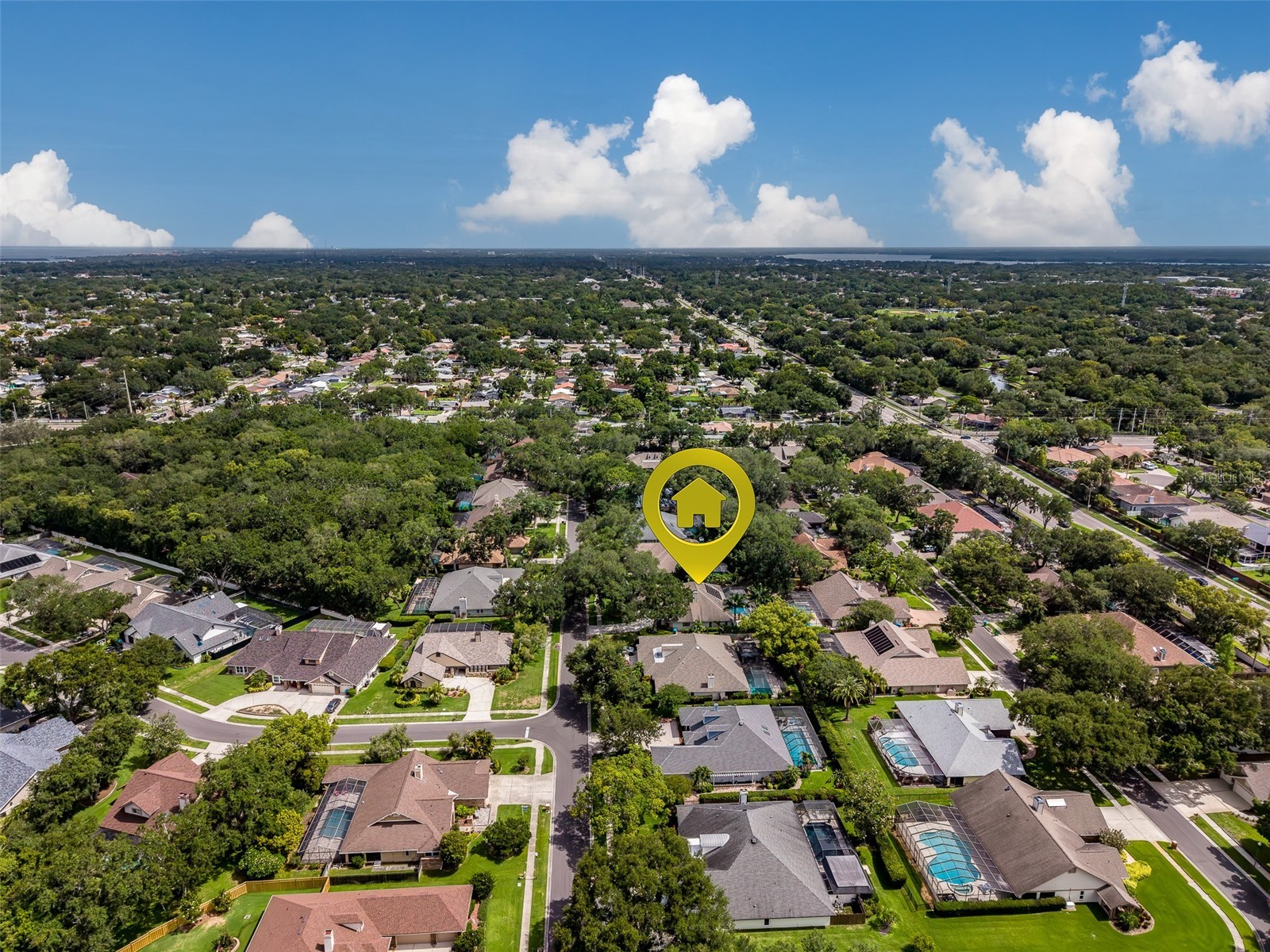 276 Sheffield Circle W Palm Harbor FL 34683 TB8514200 image71