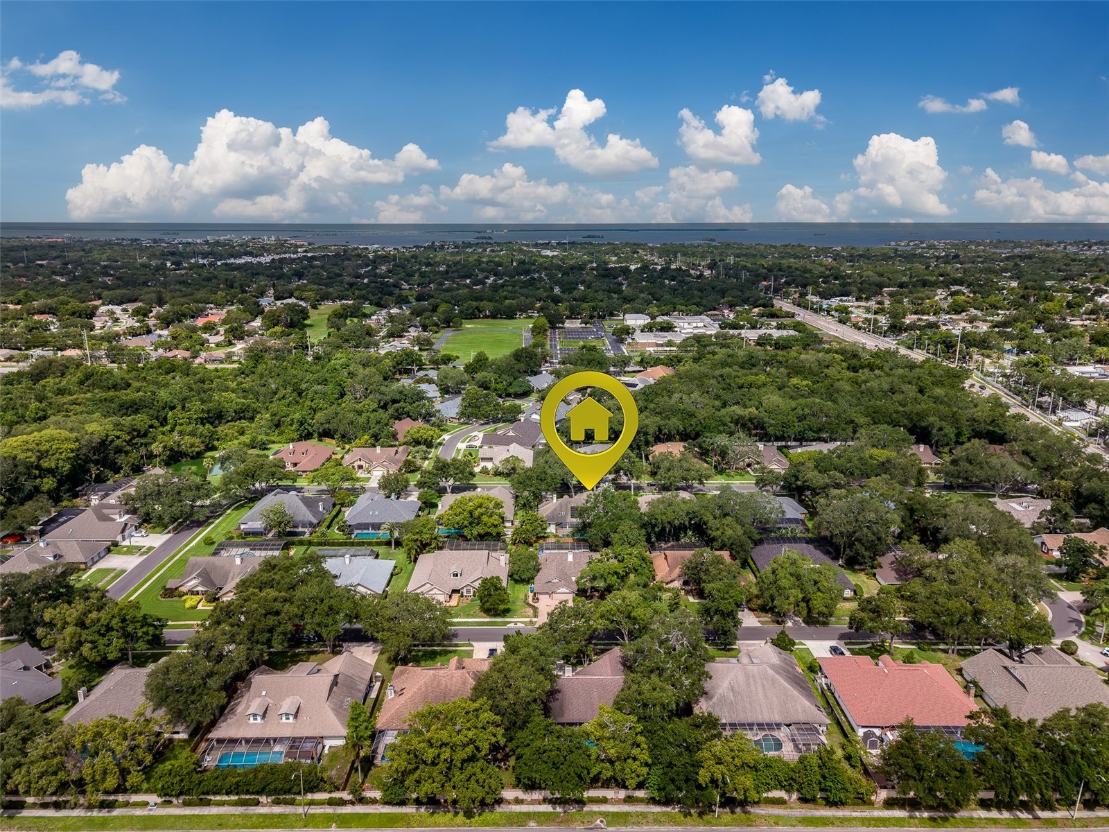 276 Sheffield Circle W Palm Harbor FL 34683 TB8514200 image72