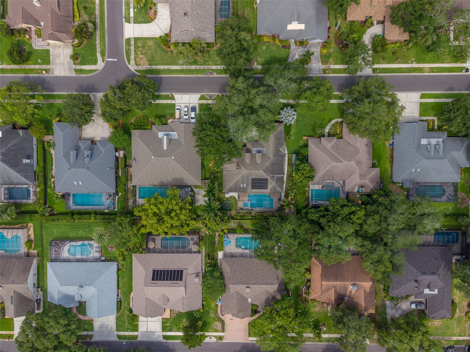 276 Sheffield Circle W Palm Harbor FL 34683 TB8514200 image74