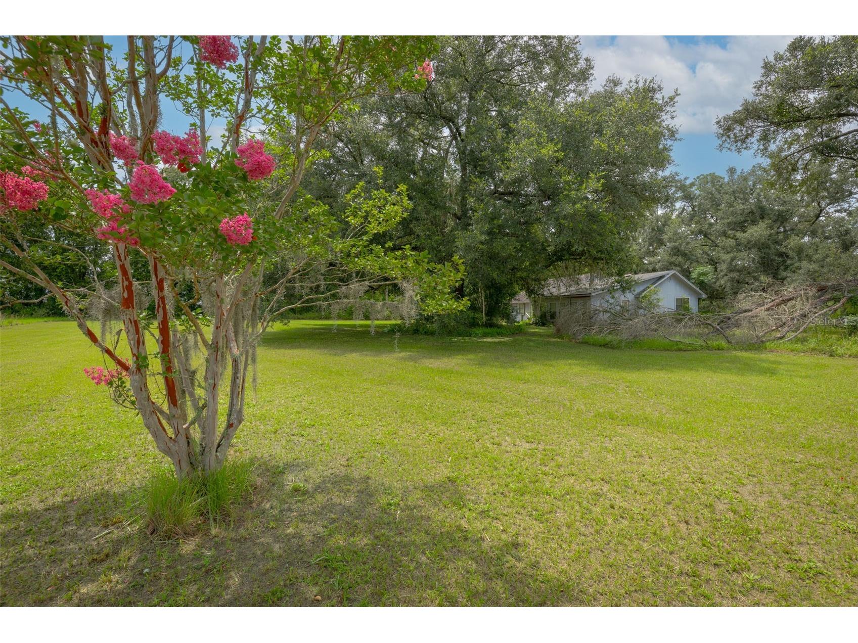 276 SW Tabernacle Glen Lake City FL 32025 GC541657 image7