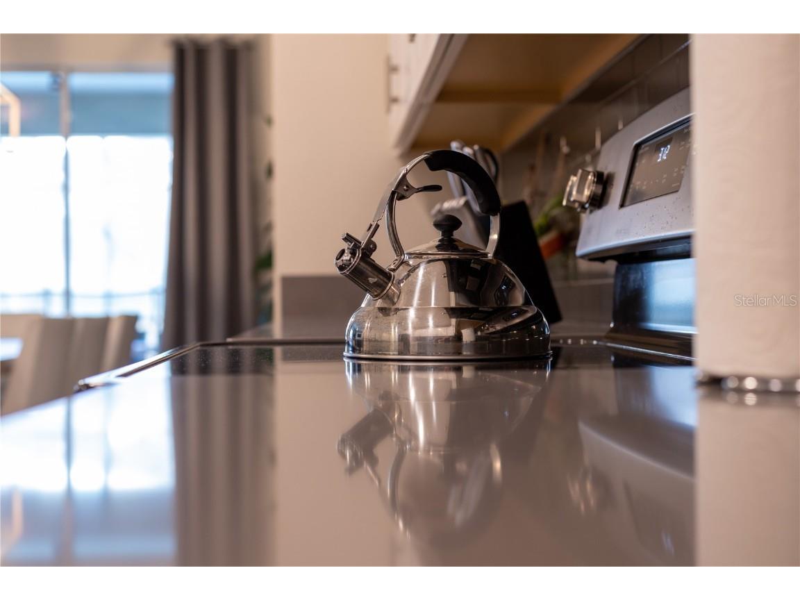 2760 Bookmark Drive Kissimmee FL 34746 O6295865 image51