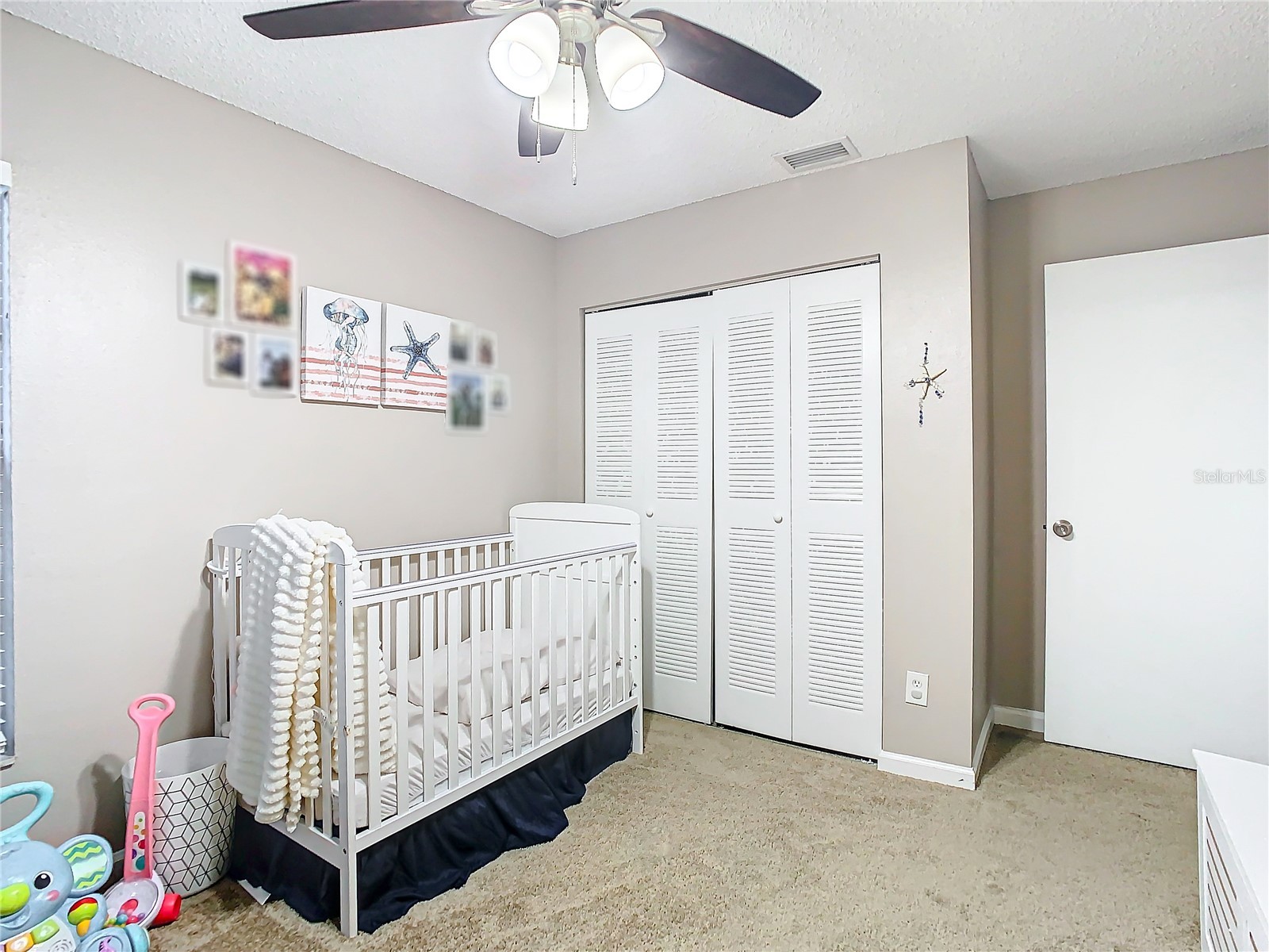 2760 Braham Court Palm Harbor FL 34684 TB8465456 image23