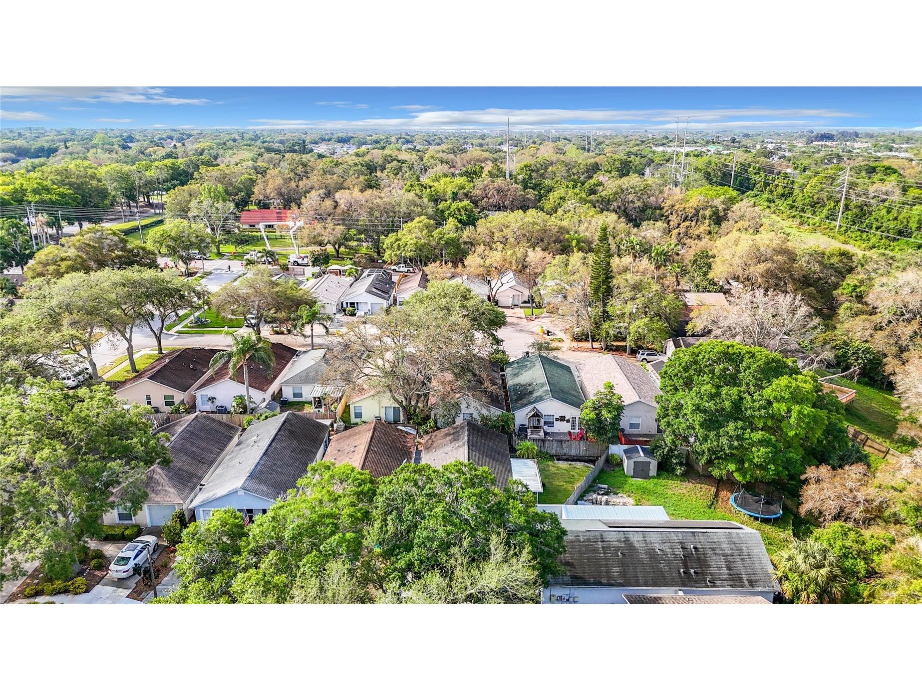 2760 Braham Court Palm Harbor FL 34684 TB8465456 image3