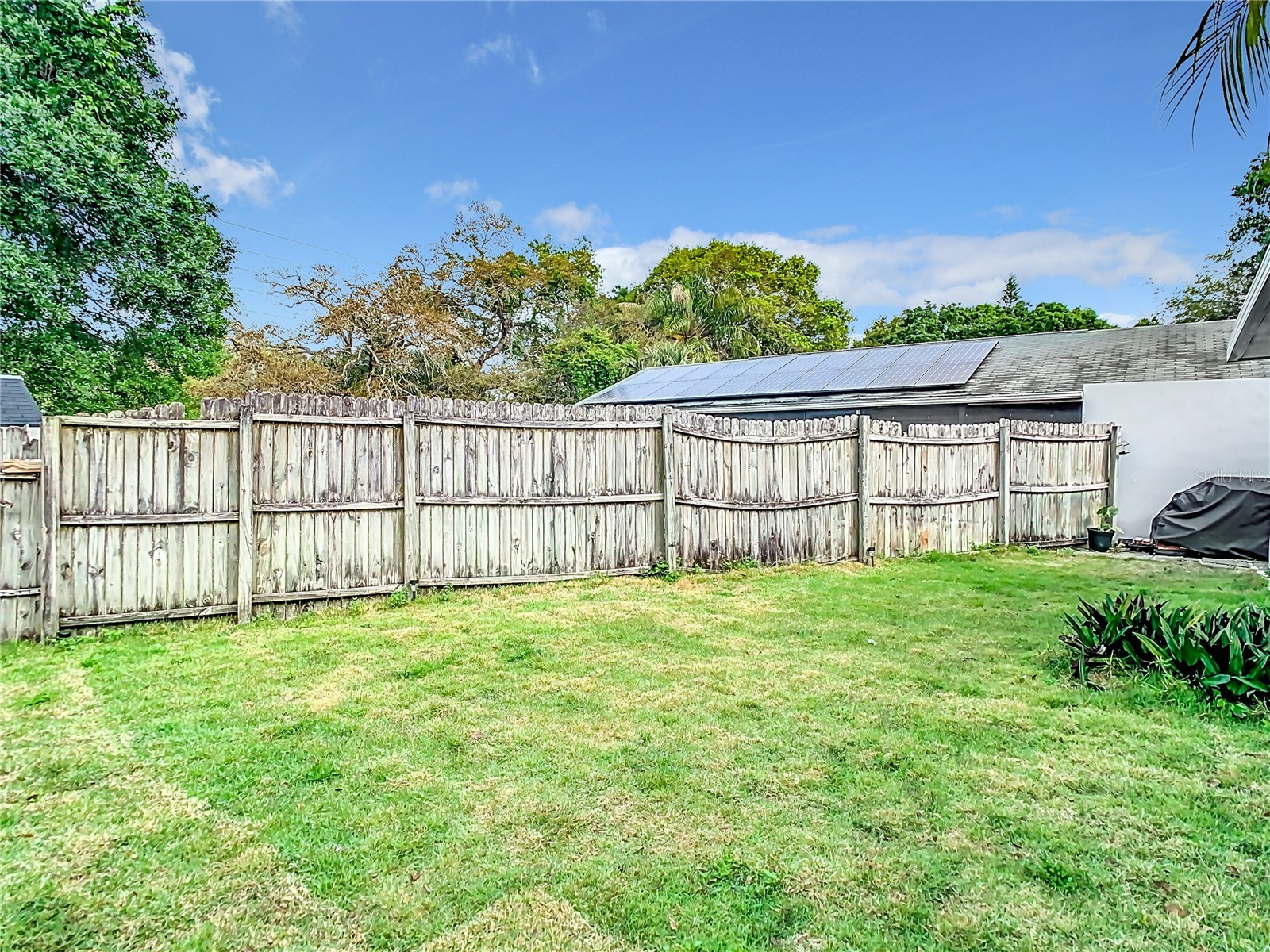 2760 Braham Court Palm Harbor FL 34684 TB8465456 image37