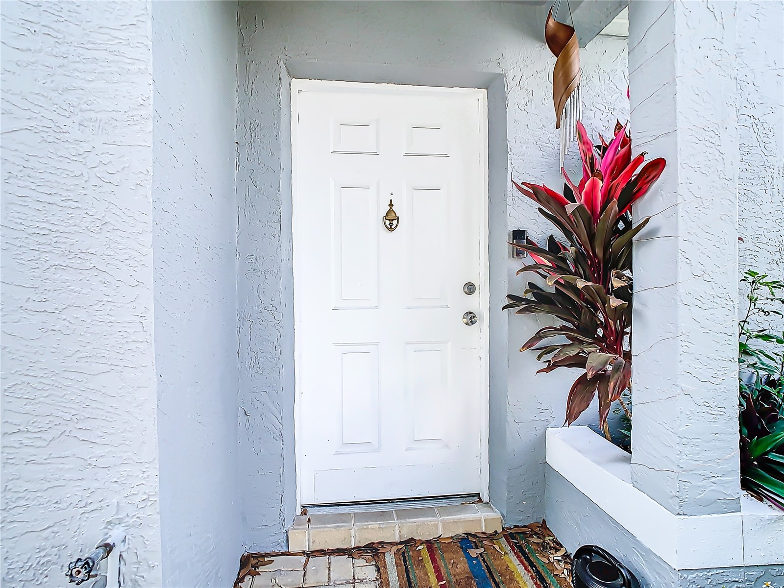 2760 Braham Court Palm Harbor FL 34684 TB8465456 image7