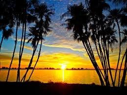 2760 Kumquat Drive Clearwater FL 33759 TB8445526 image23