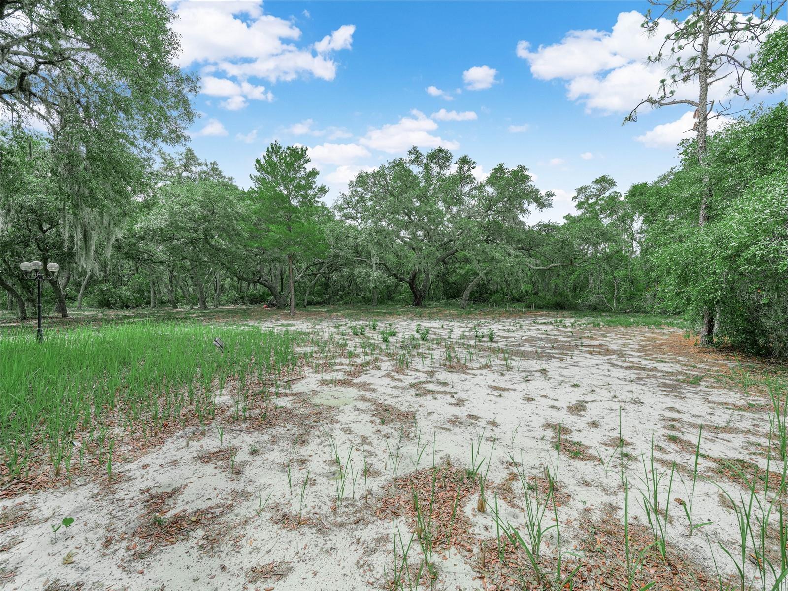 2760 Tiger Creek Trail Lake Wales FL 33898 P4938935 image42