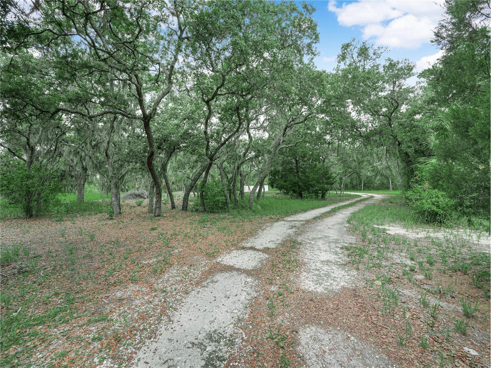 2760 Tiger Creek Trail Lake Wales FL 33898 P4938935 image43