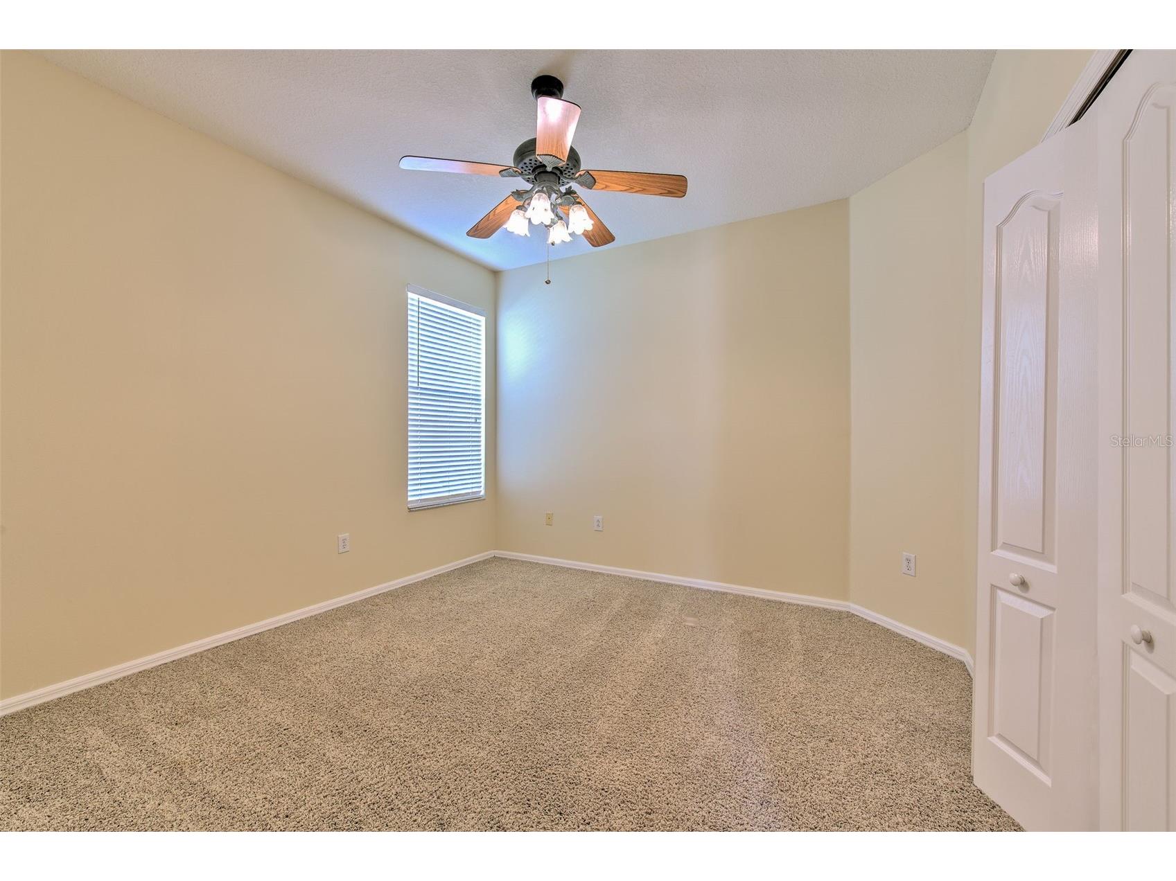 27601 Baybrook Loop Wesley Chapel FL 33544 TB8500271 image10