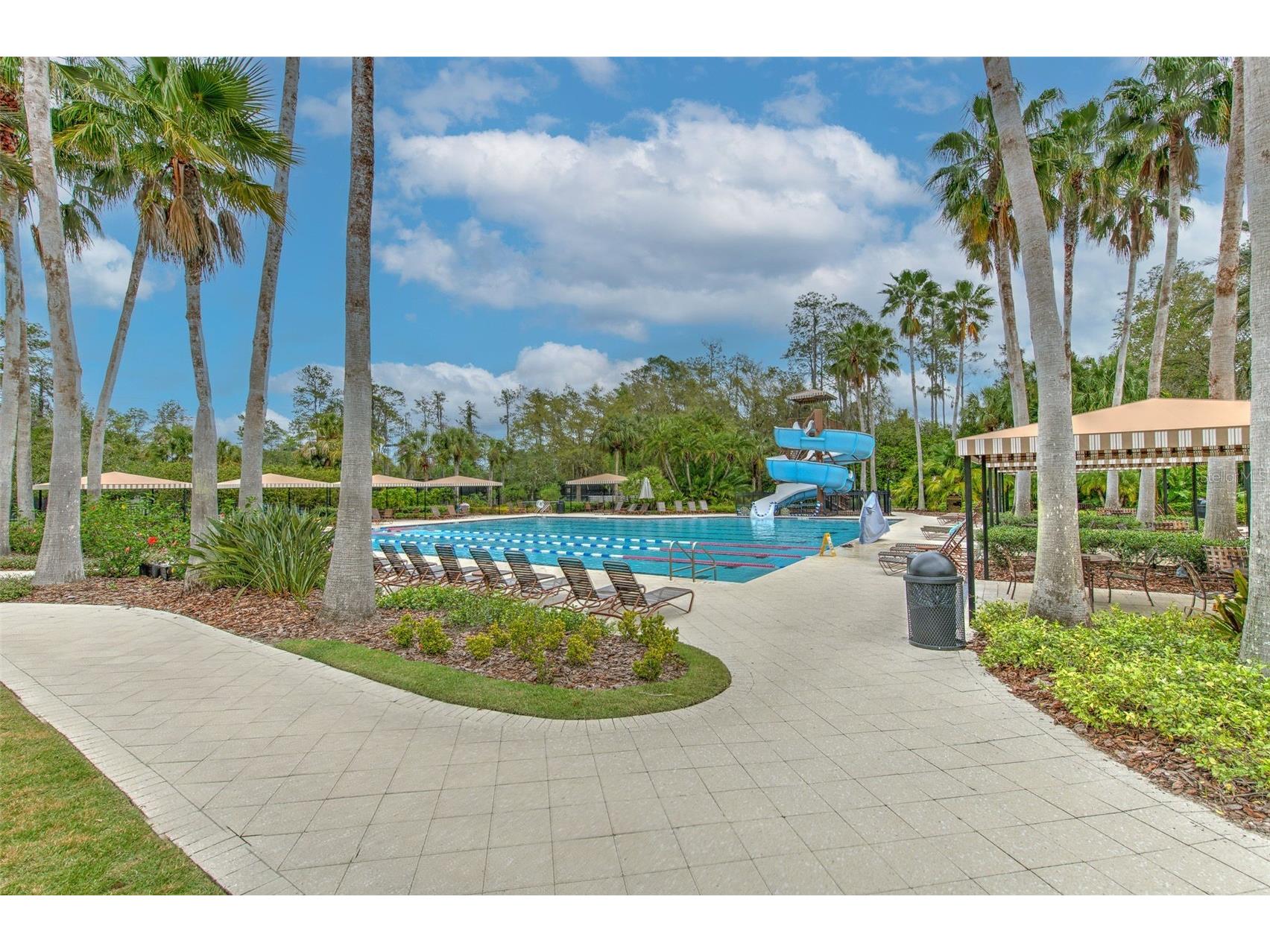 27601 Baybrook Loop Wesley Chapel FL 33544 TB8500271 image24