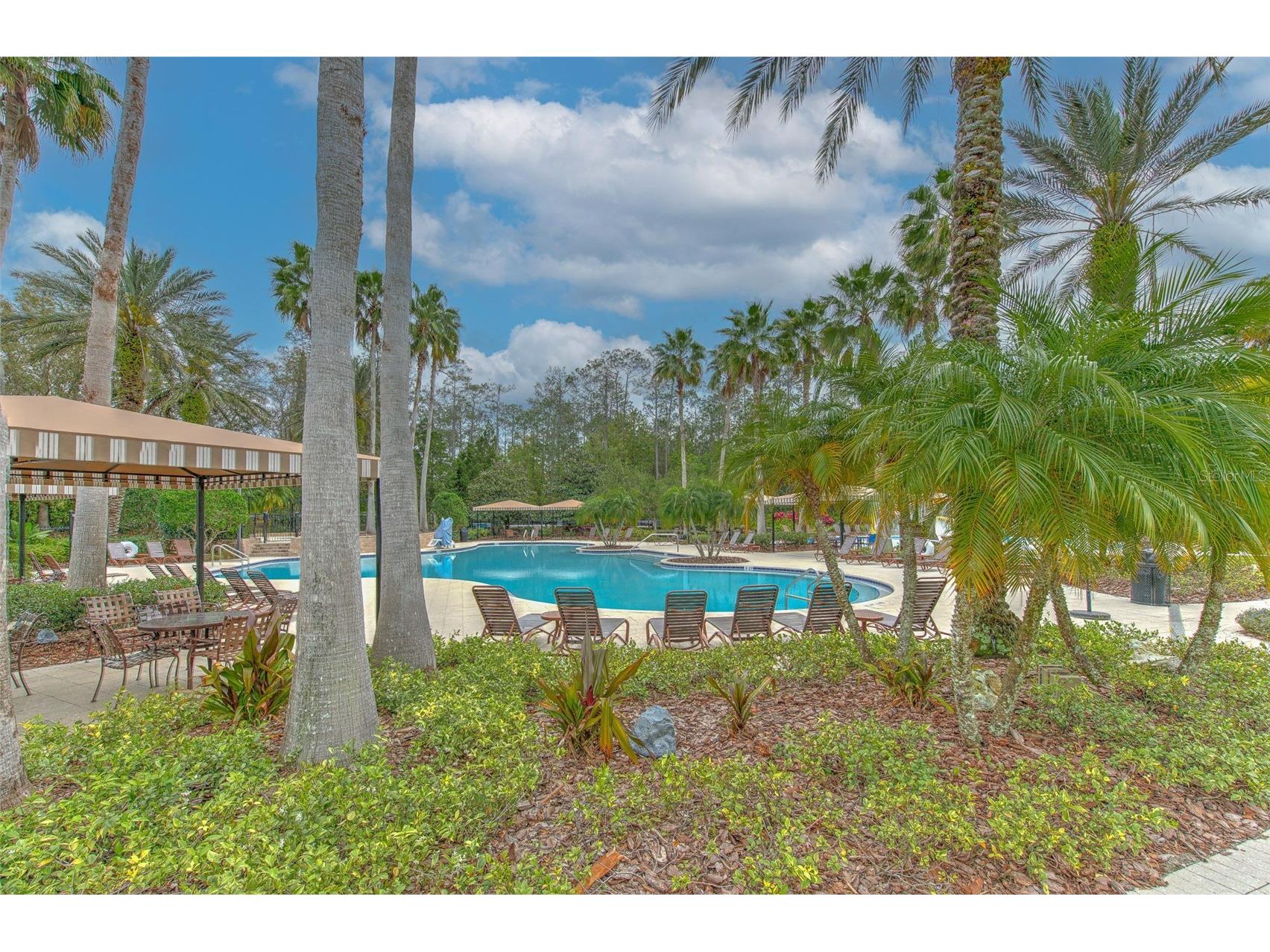 27601 Baybrook Loop Wesley Chapel FL 33544 TB8500271 image25