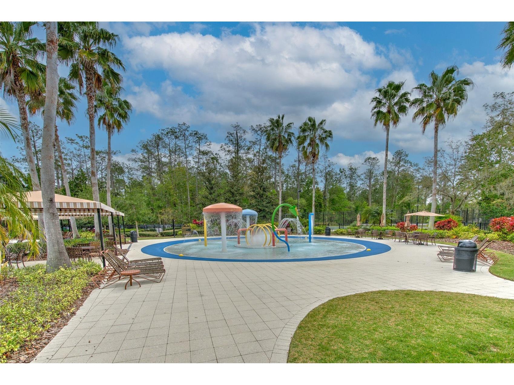 27601 Baybrook Loop Wesley Chapel FL 33544 TB8500271 image26