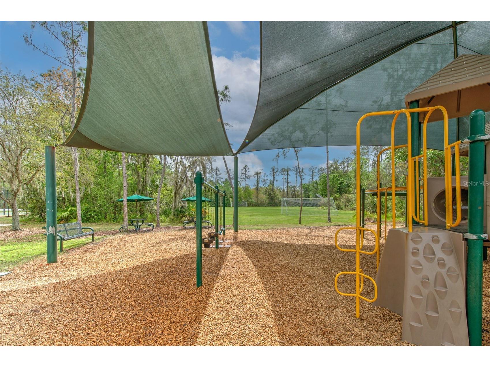 27601 Baybrook Loop Wesley Chapel FL 33544 TB8500271 image28