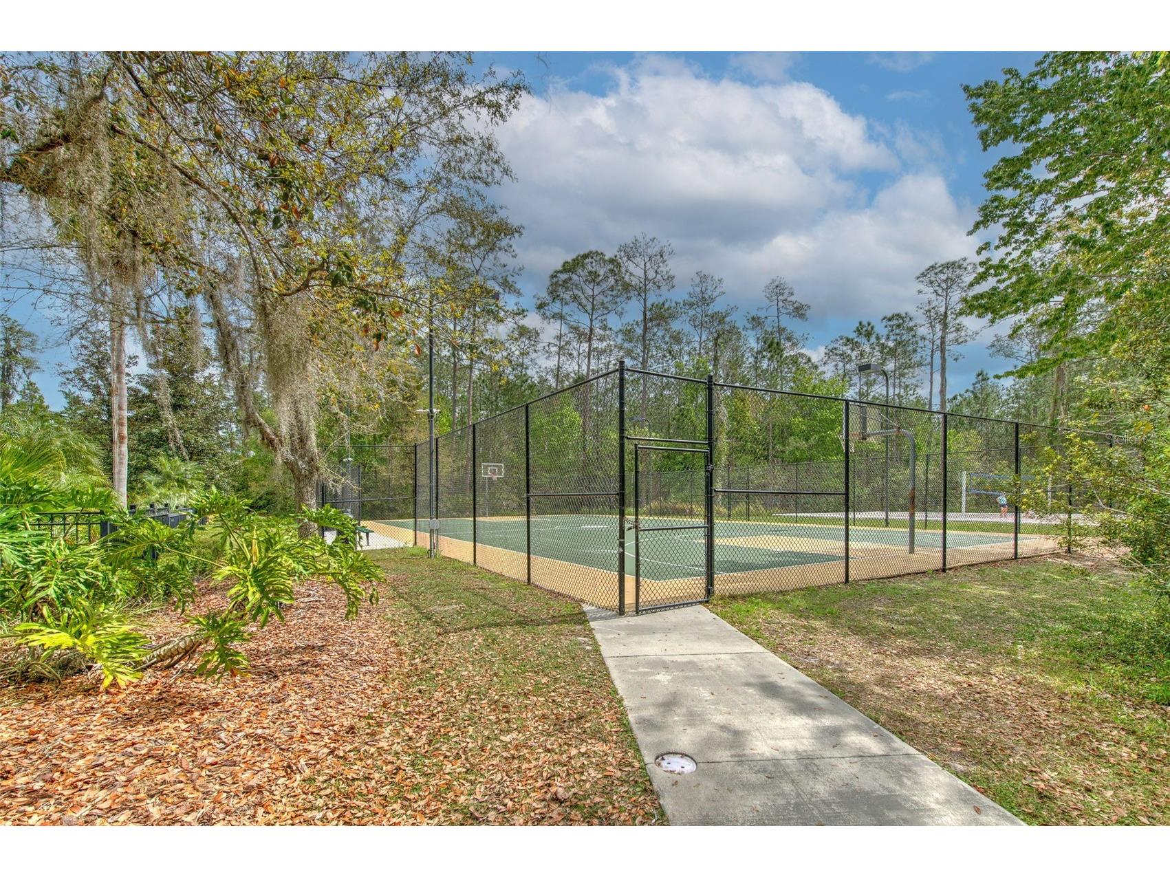27601 Baybrook Loop Wesley Chapel FL 33544 TB8500271 image29
