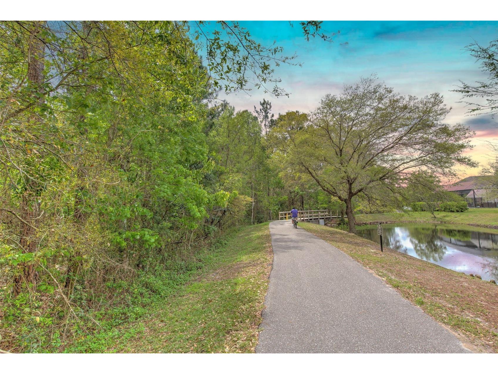 27601 Baybrook Loop Wesley Chapel FL 33544 TB8500271 image30