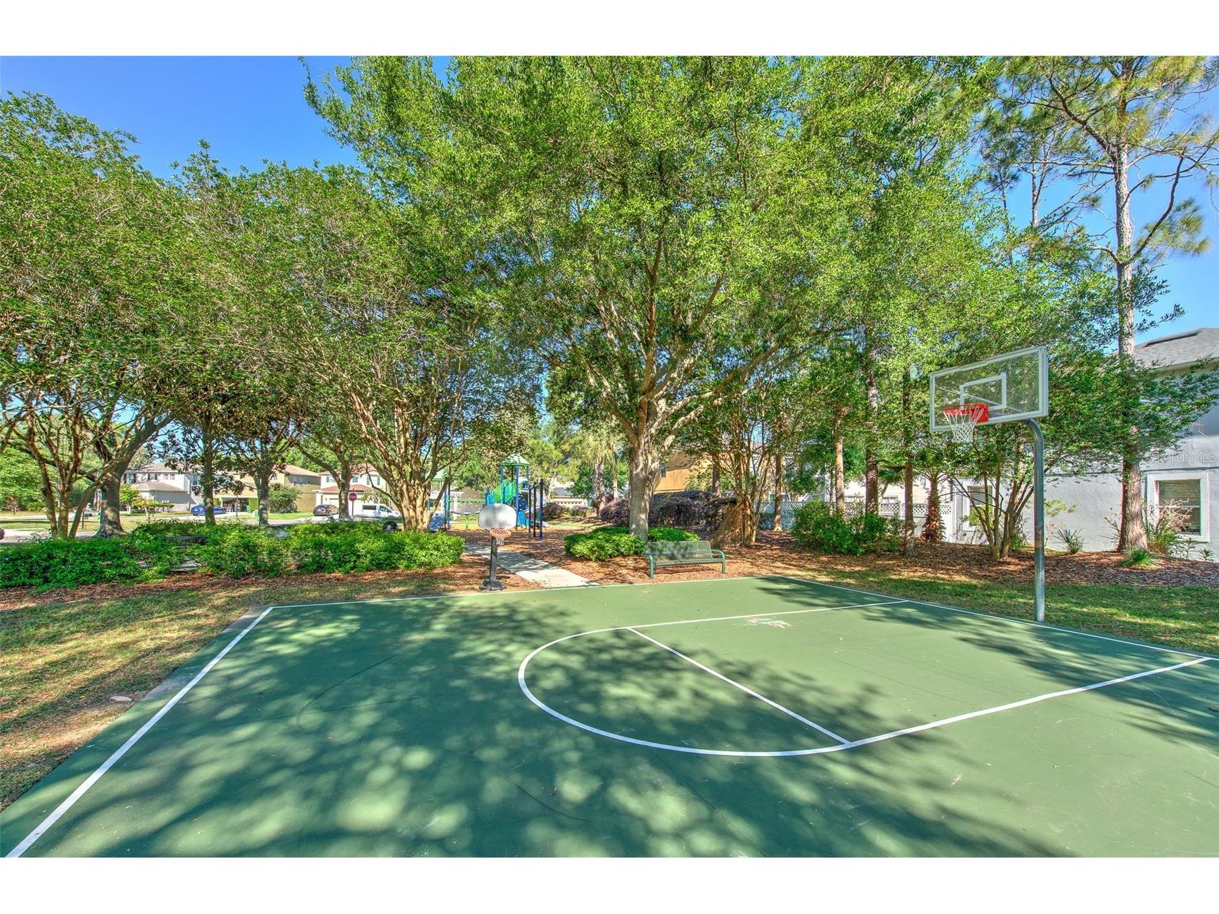 27601 Baybrook Loop Wesley Chapel FL 33544 TB8500271 image34