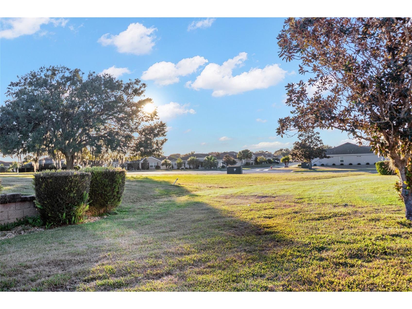 27601 Country Stone Court Leesburg FL 34748 G5107236 image30
