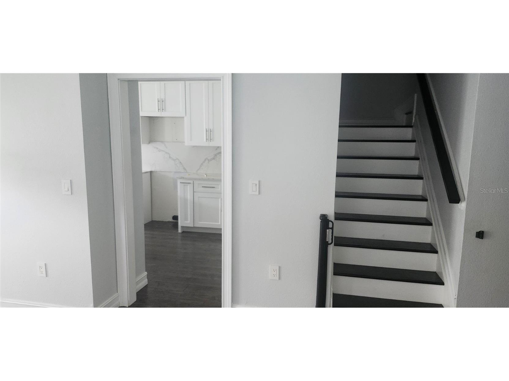 27606 Pleasure Ride Loop Wesley Chapel FL 33544 W7877000 image10