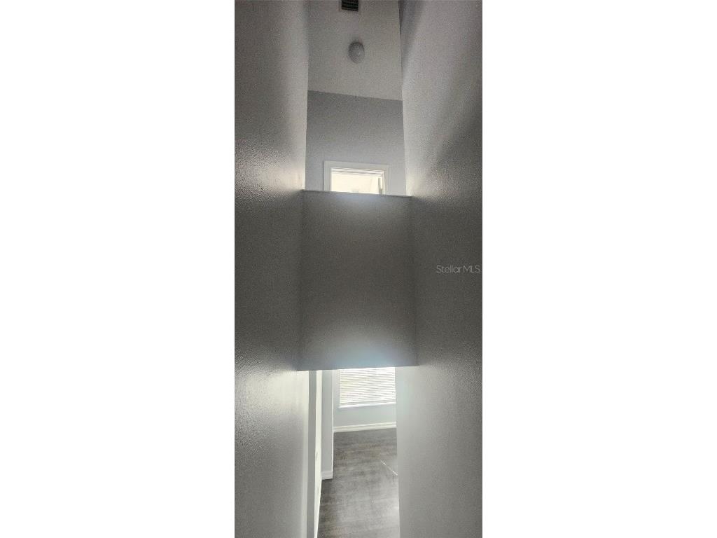 27606 Pleasure Ride Loop Wesley Chapel FL 33544 W7877000 image22