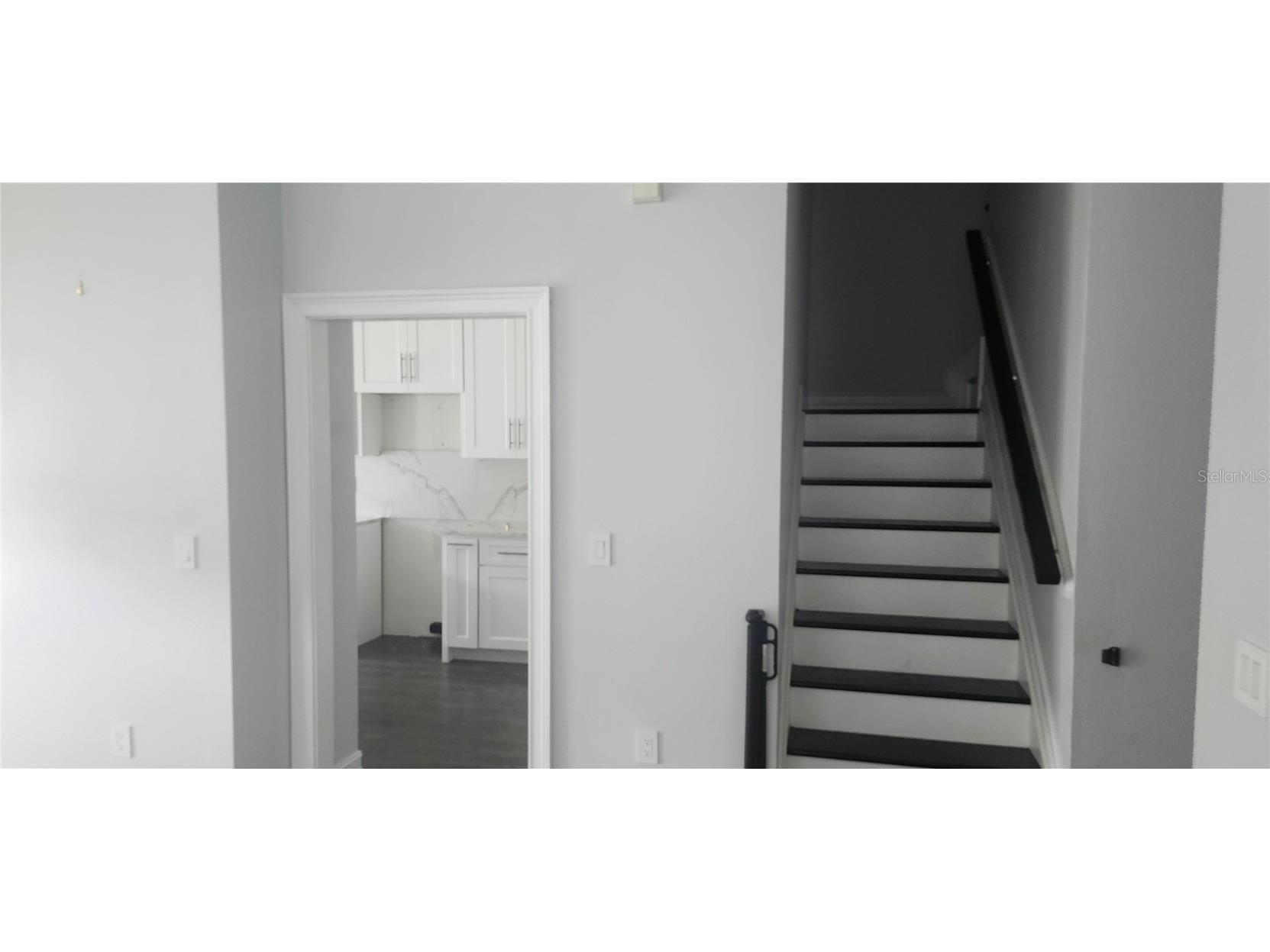 27606 Pleasure Ride Loop Wesley Chapel FL 33544 W7877000 image8