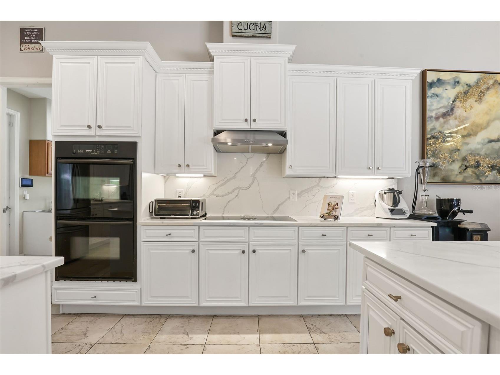 27608 Pine Point Drive Wesley Chapel FL 33544 TB8489634 image11