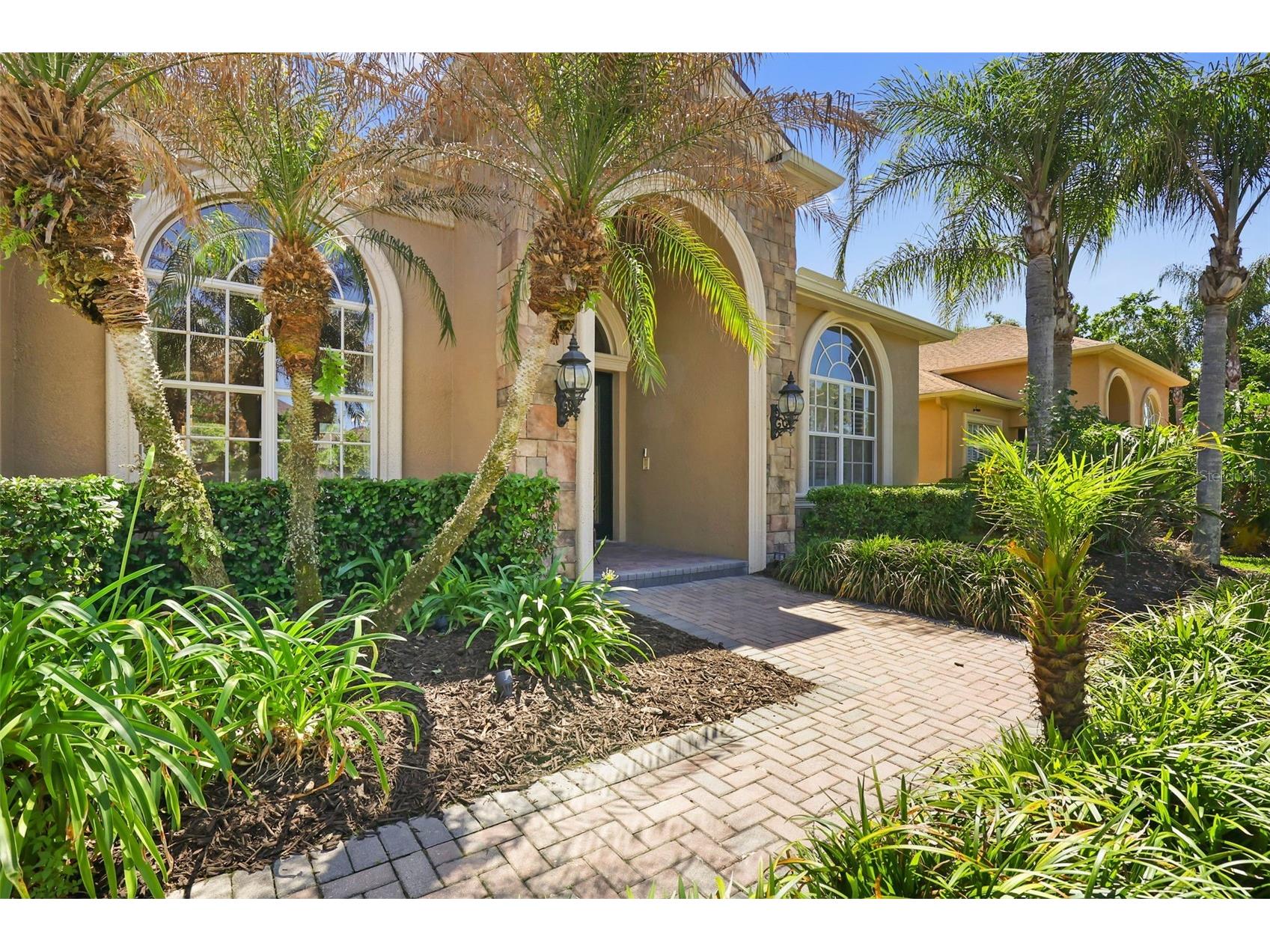 27608 Pine Point Drive Wesley Chapel FL 33544 TB8489634 image2