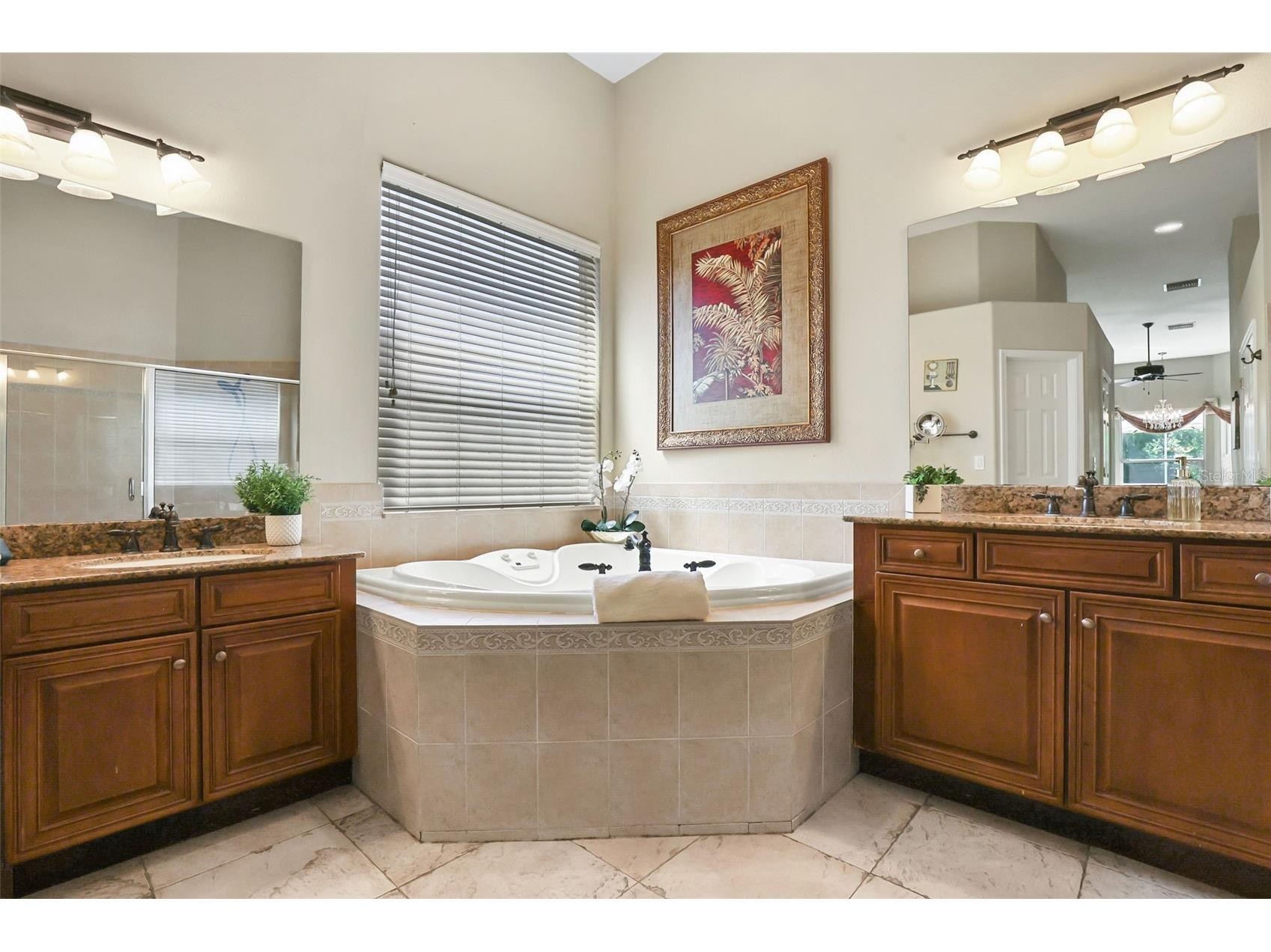27608 Pine Point Drive Wesley Chapel FL 33544 TB8489634 image26