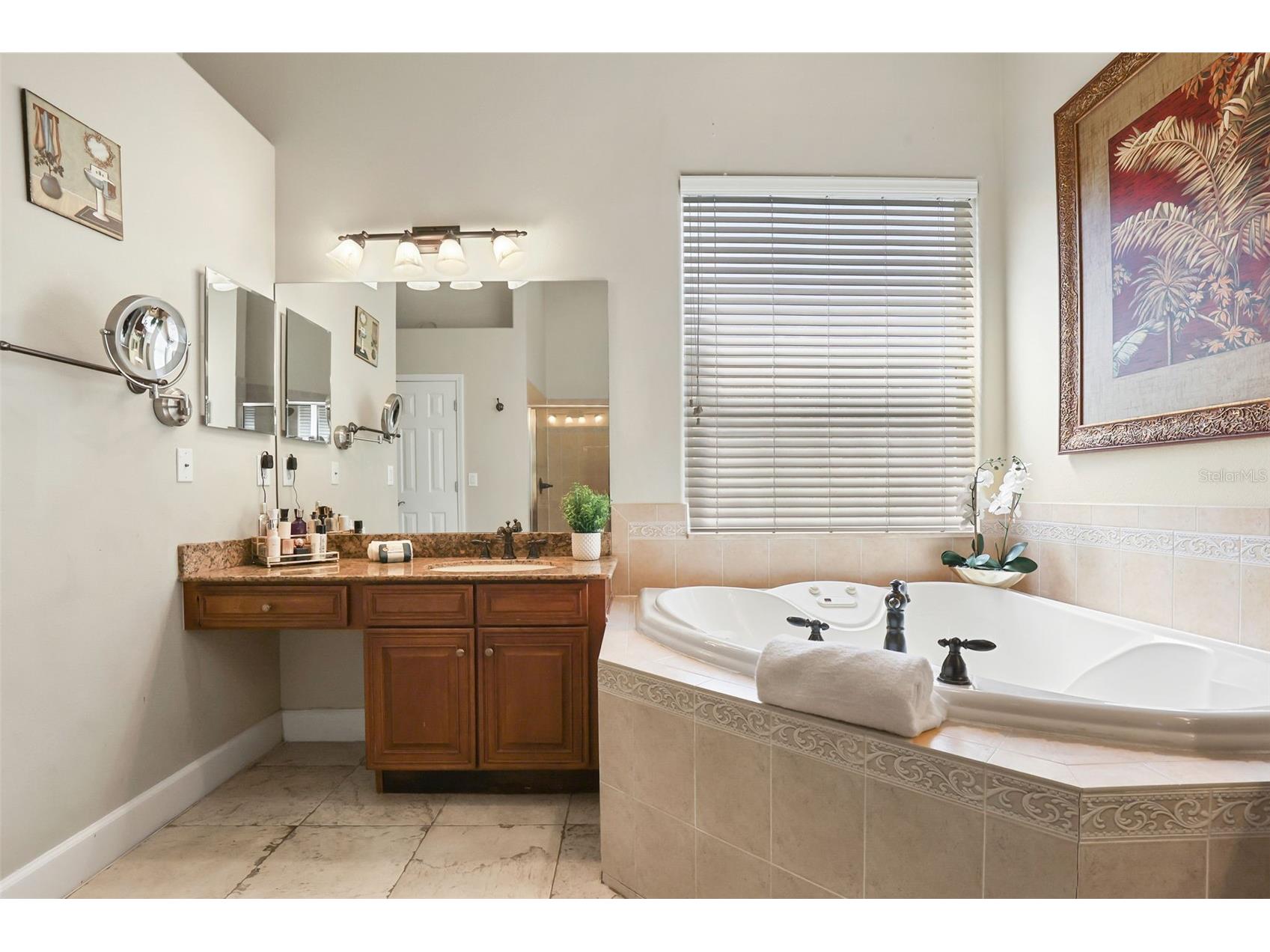 27608 Pine Point Drive Wesley Chapel FL 33544 TB8489634 image27