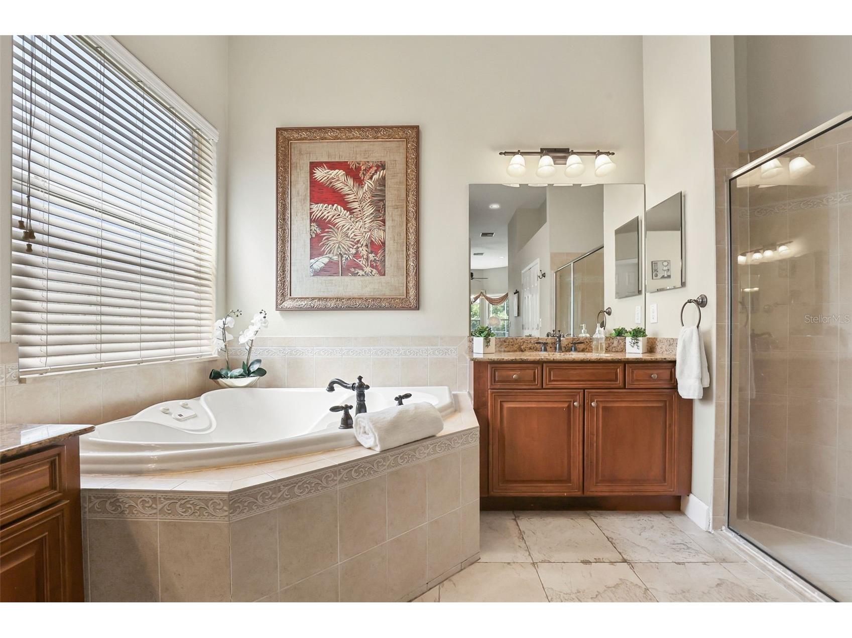 27608 Pine Point Drive Wesley Chapel FL 33544 TB8489634 image28