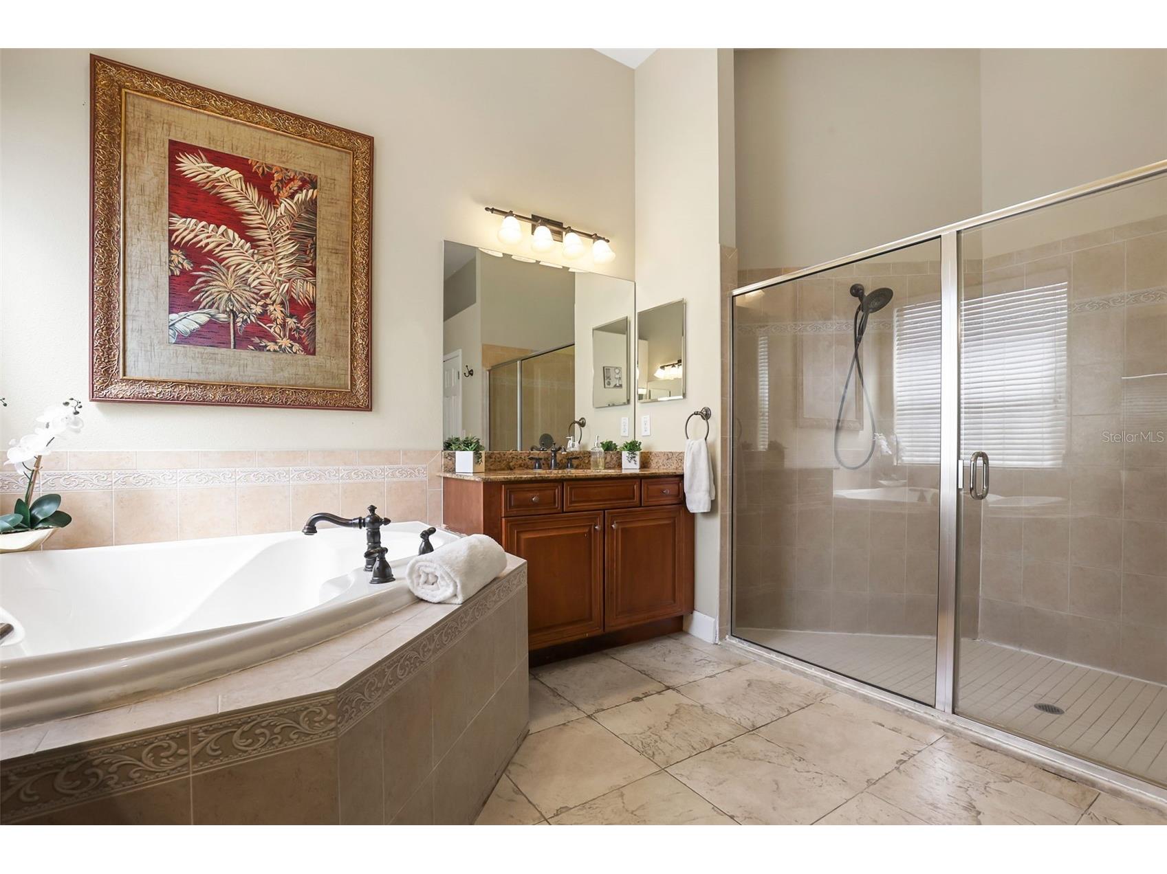 27608 Pine Point Drive Wesley Chapel FL 33544 TB8489634 image29