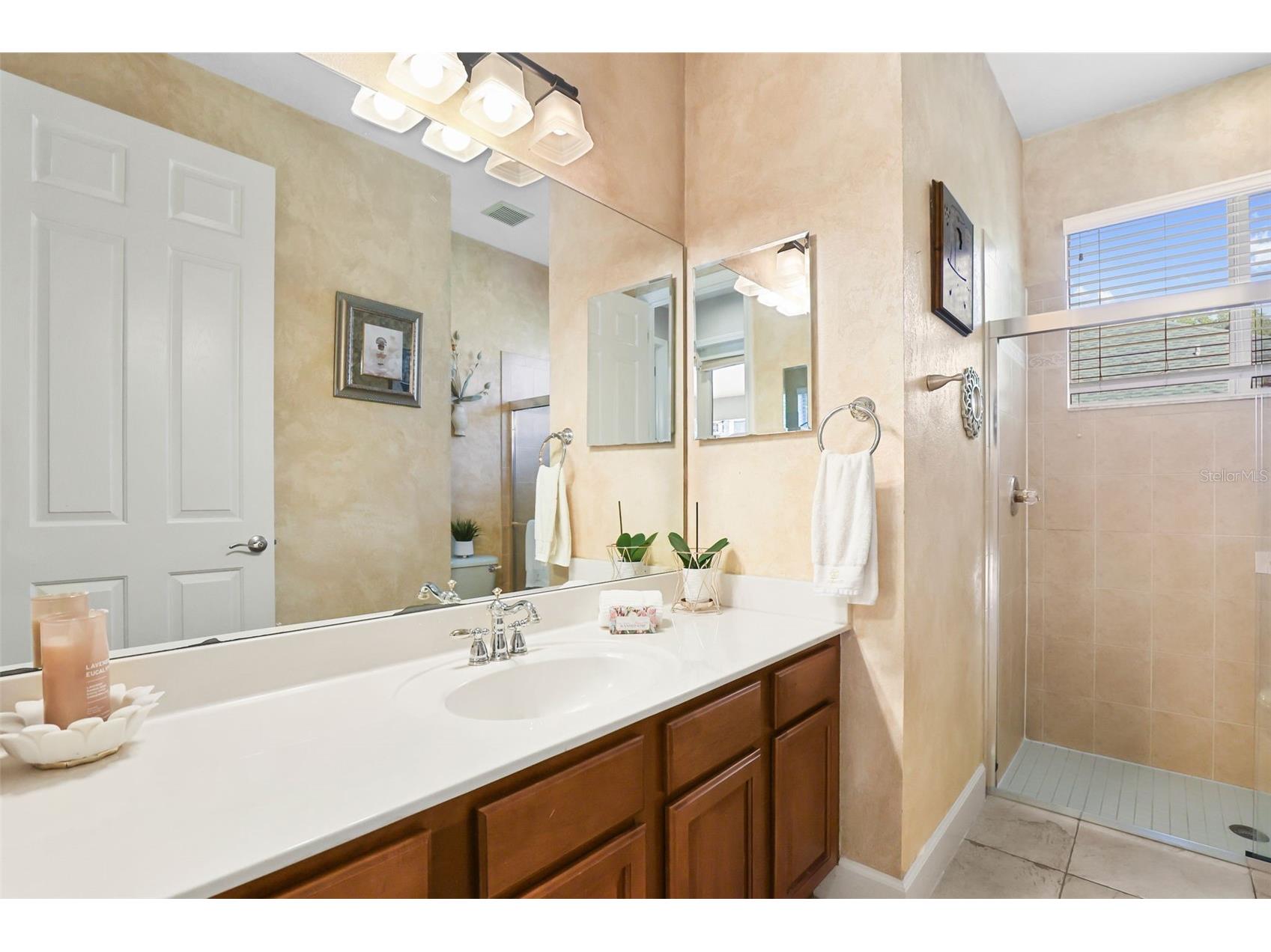 27608 Pine Point Drive Wesley Chapel FL 33544 TB8489634 image46