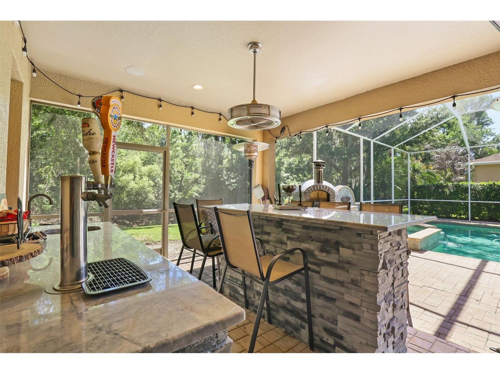 27608 Pine Point Drive Wesley Chapel FL 33544 TB8489634 image59
