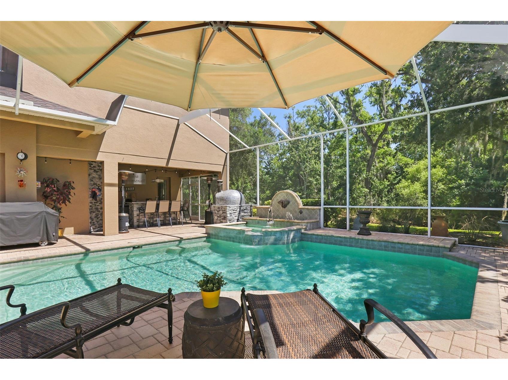 27608 Pine Point Drive Wesley Chapel FL 33544 TB8489634 image64