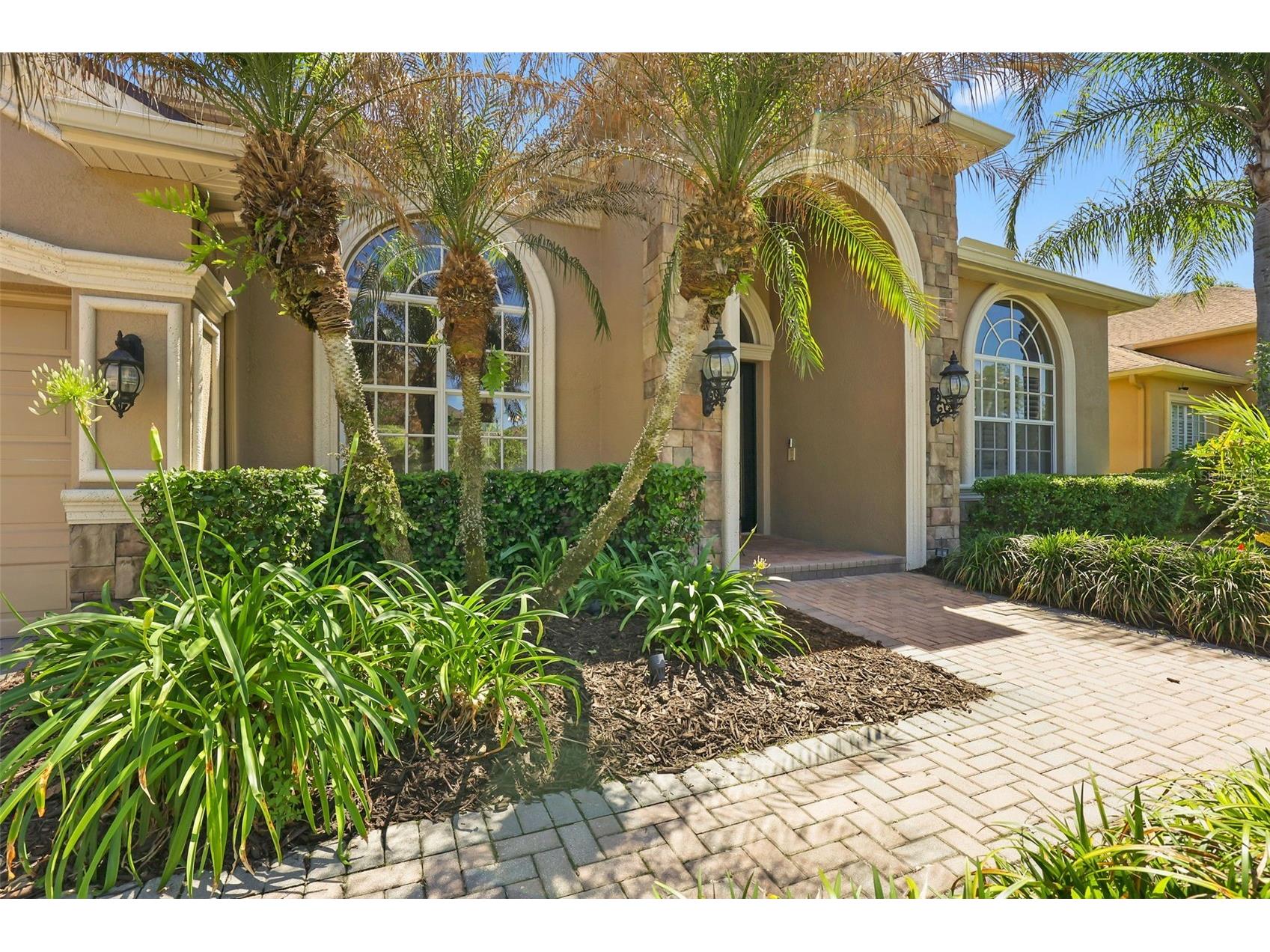 27608 Pine Point Drive Wesley Chapel FL 33544 TB8489634 image73