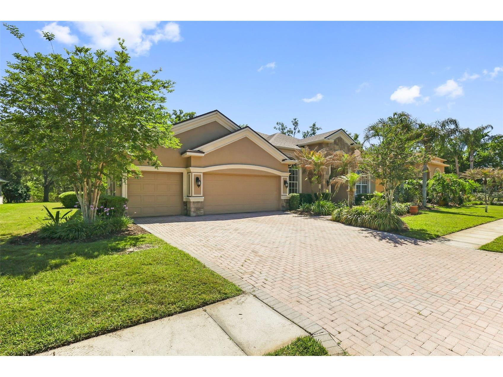 27608 Pine Point Drive Wesley Chapel FL 33544 TB8489634 image75