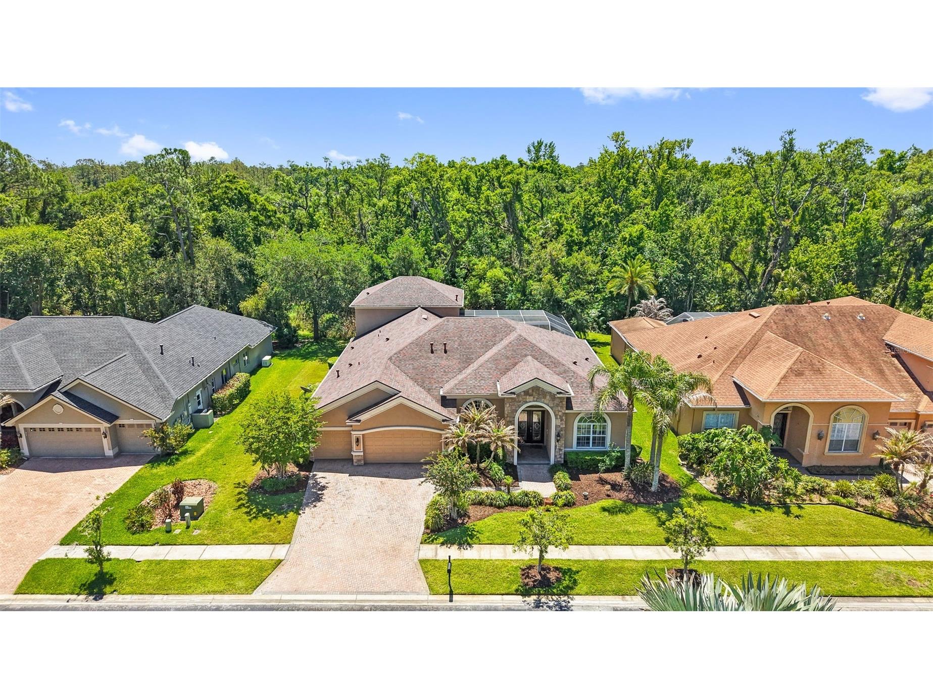 27608 Pine Point Drive Wesley Chapel FL 33544 TB8489634 image77