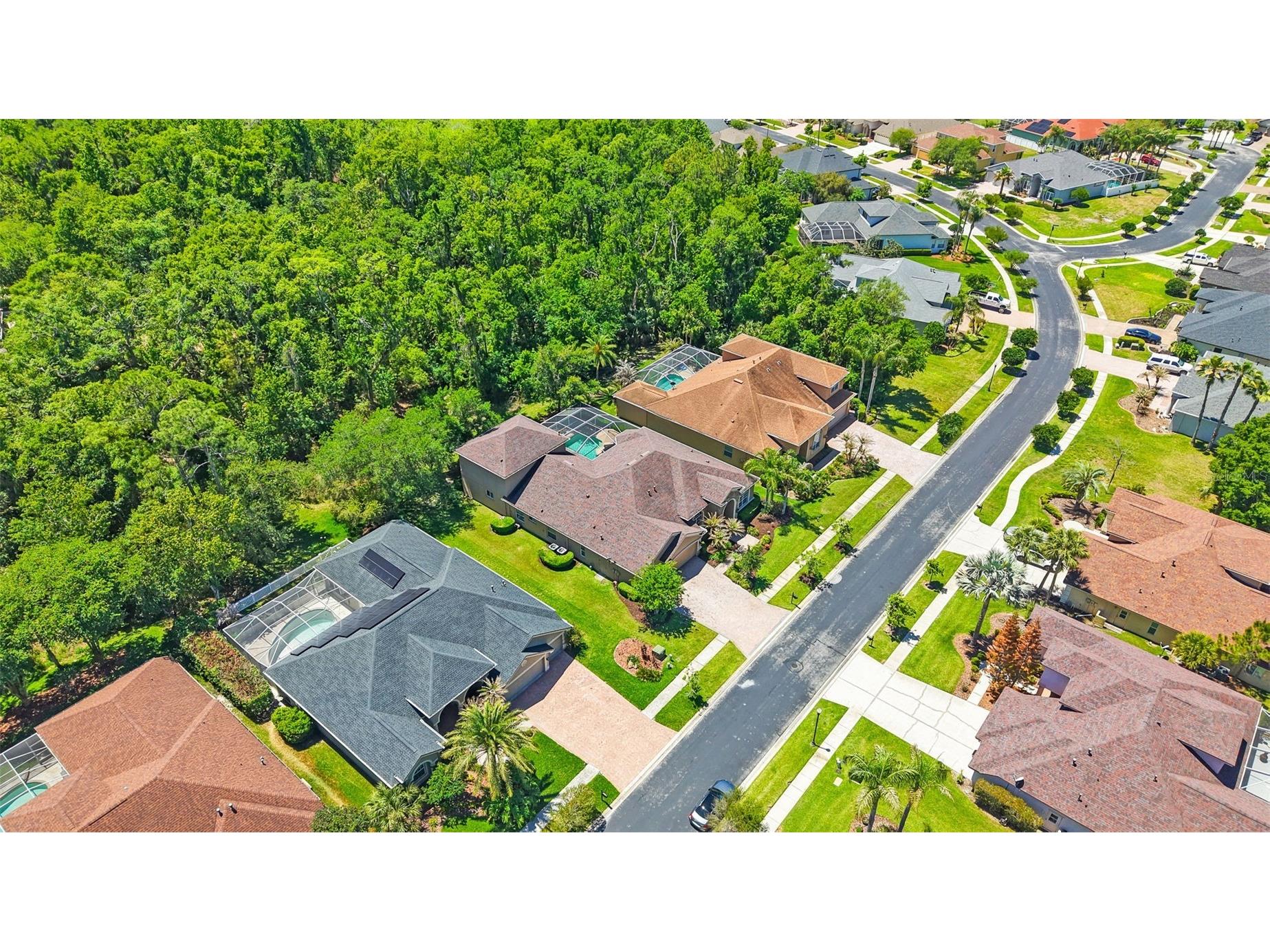 27608 Pine Point Drive Wesley Chapel FL 33544 TB8489634 image84