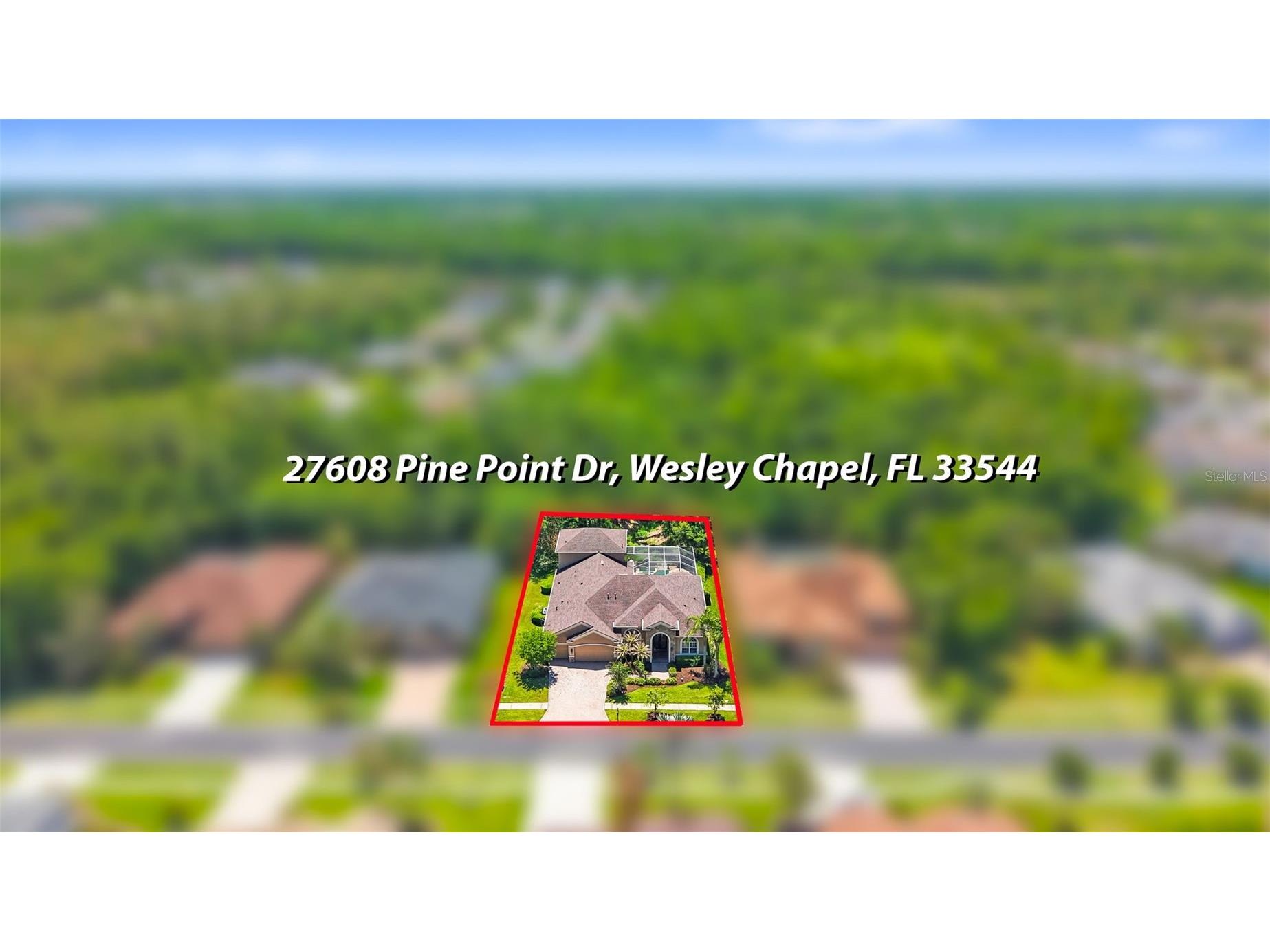 27608 Pine Point Drive Wesley Chapel FL 33544 TB8489634 image85