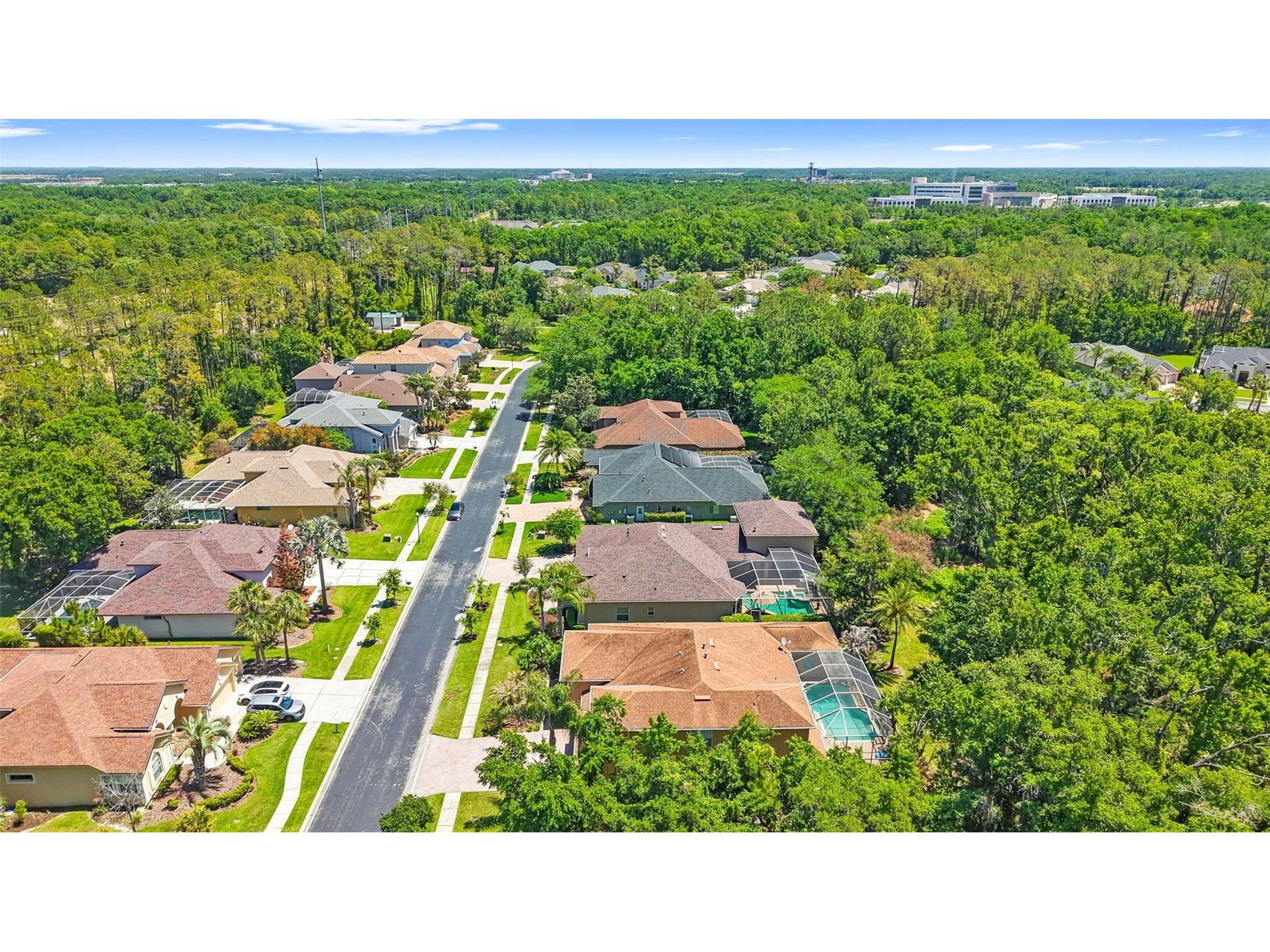 27608 Pine Point Drive Wesley Chapel FL 33544 TB8489634 image86