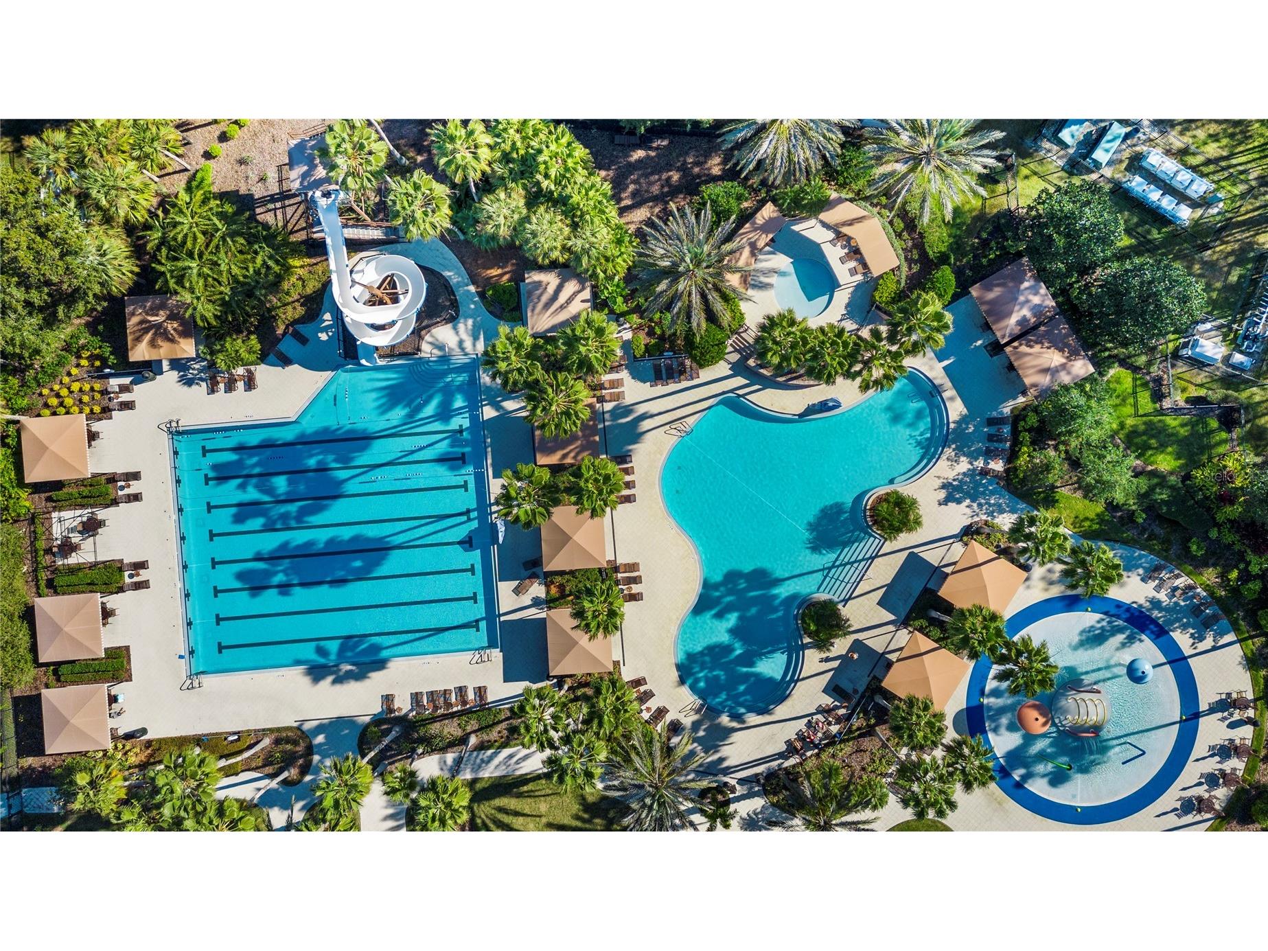 27608 Pine Point Drive Wesley Chapel FL 33544 TB8489634 image95