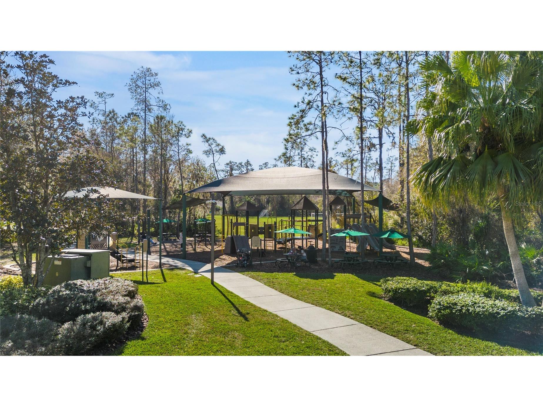 27608 Pine Point Drive Wesley Chapel FL 33544 TB8489634 image96