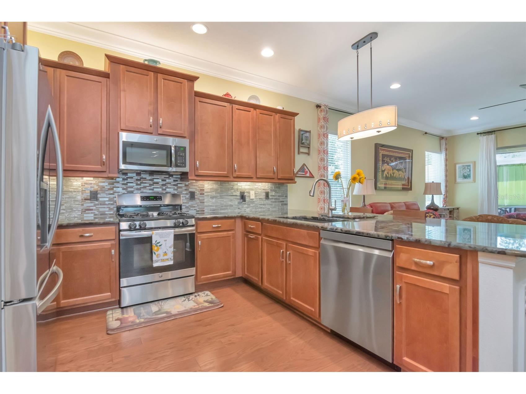2761 Tarragona Way Wesley Chapel FL 33543 TB8501988 image17