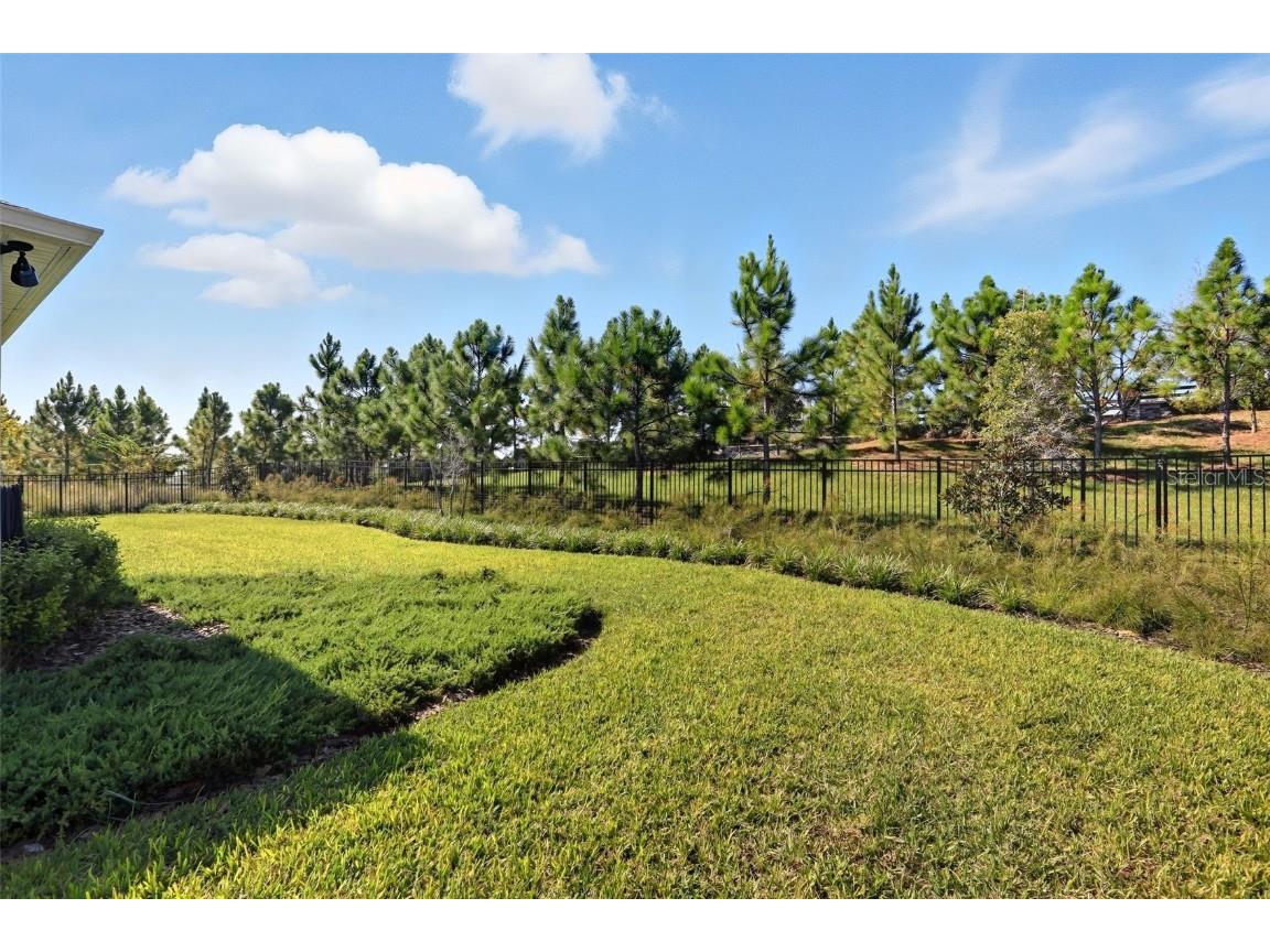 2761 Top Hill Court Minneola FL 34715 O6345393 image26