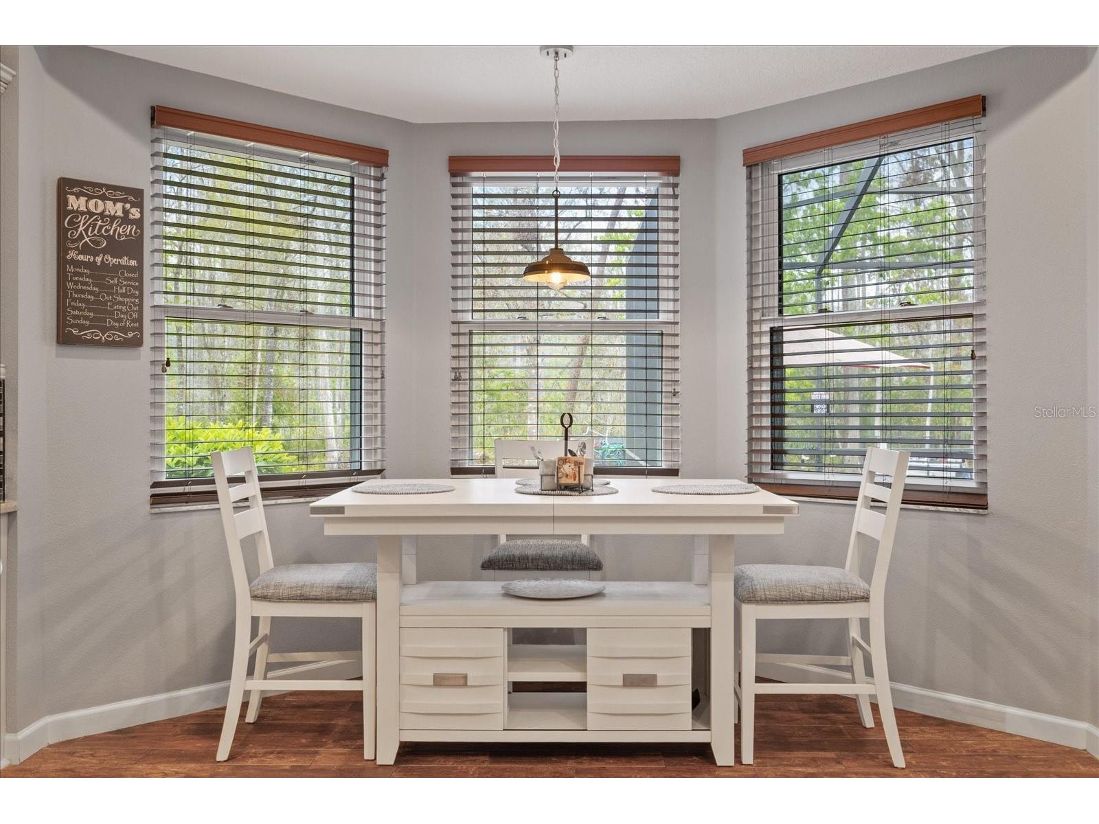 27625 Lincoln Place Wesley Chapel FL 33544 TB8495655 image44